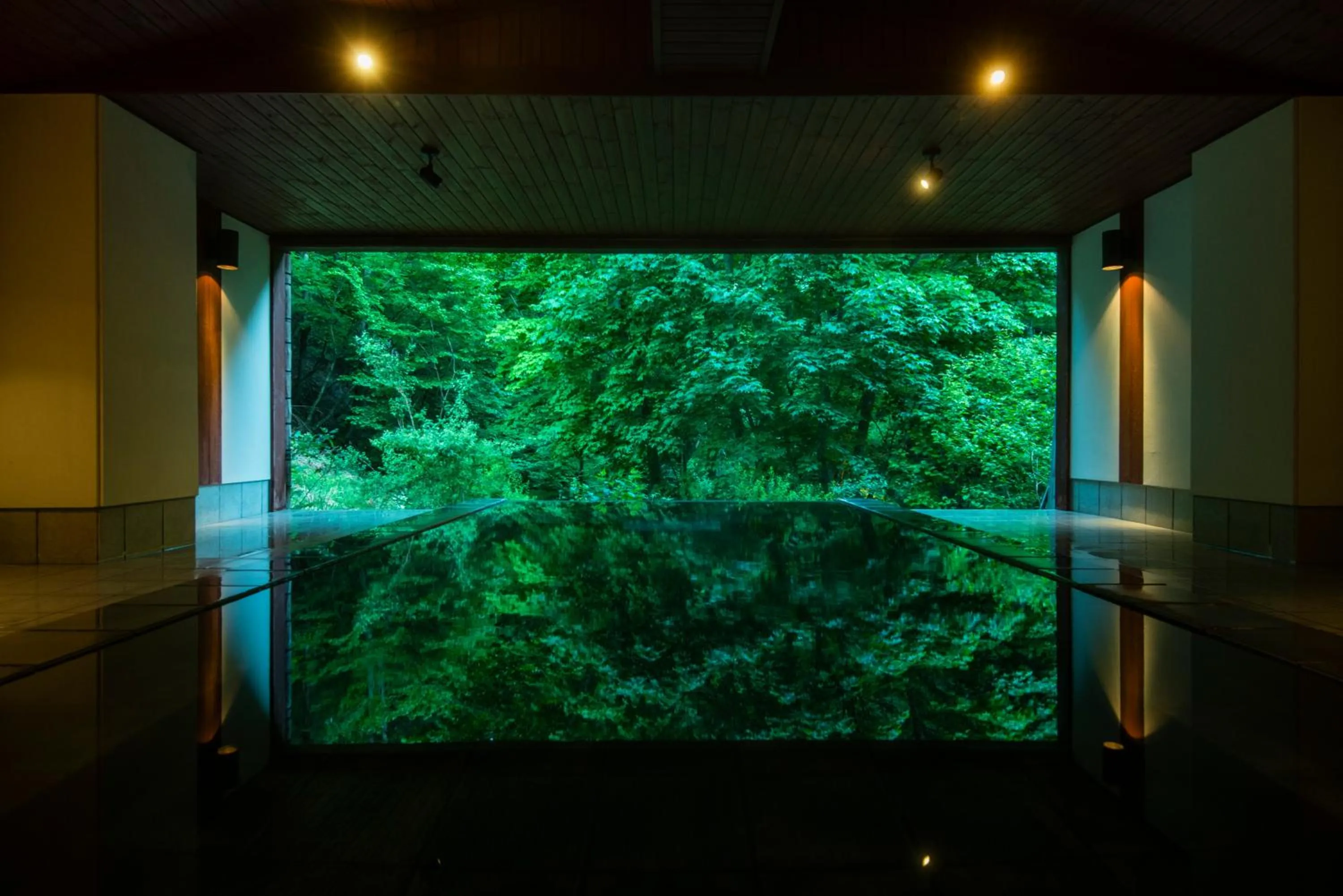Hot Spring Bath in Myojinkan
