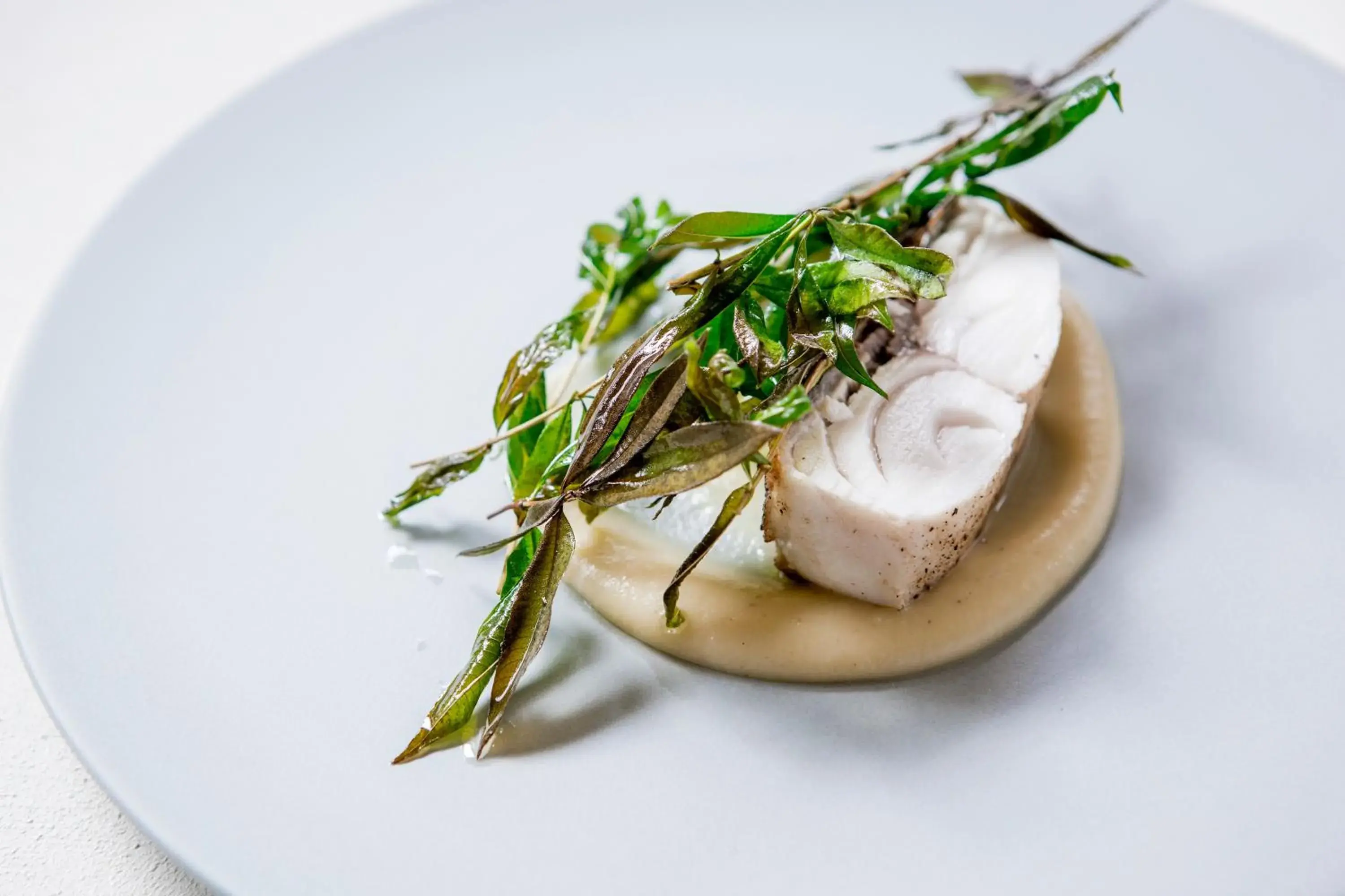 Food close-up in Myojinkan Food close-up in Myojinkan