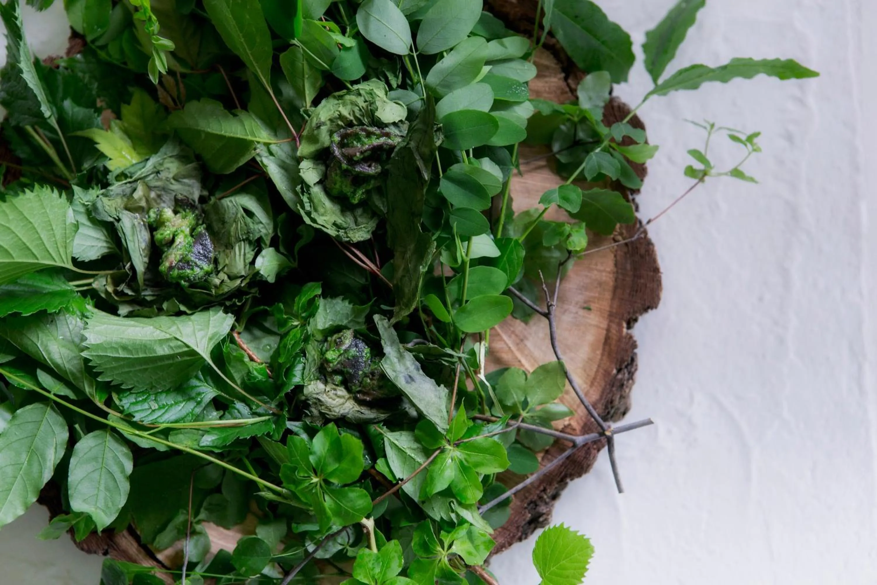 Food close-up in Myojinkan