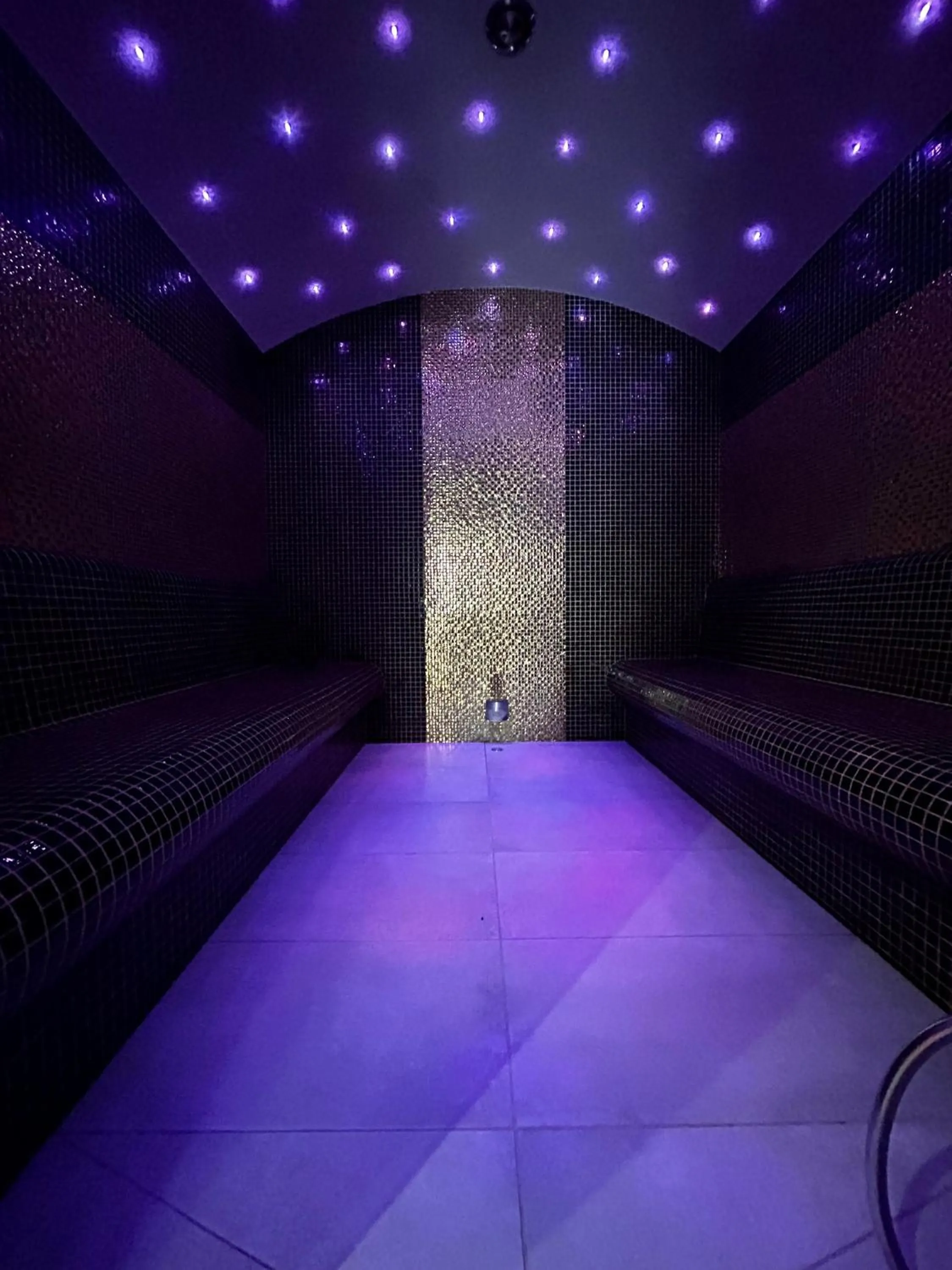 Sauna in Hotel Nad Czernicą