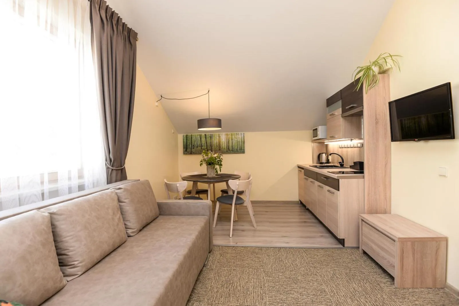Communal lounge/ TV room in Vila Gilė