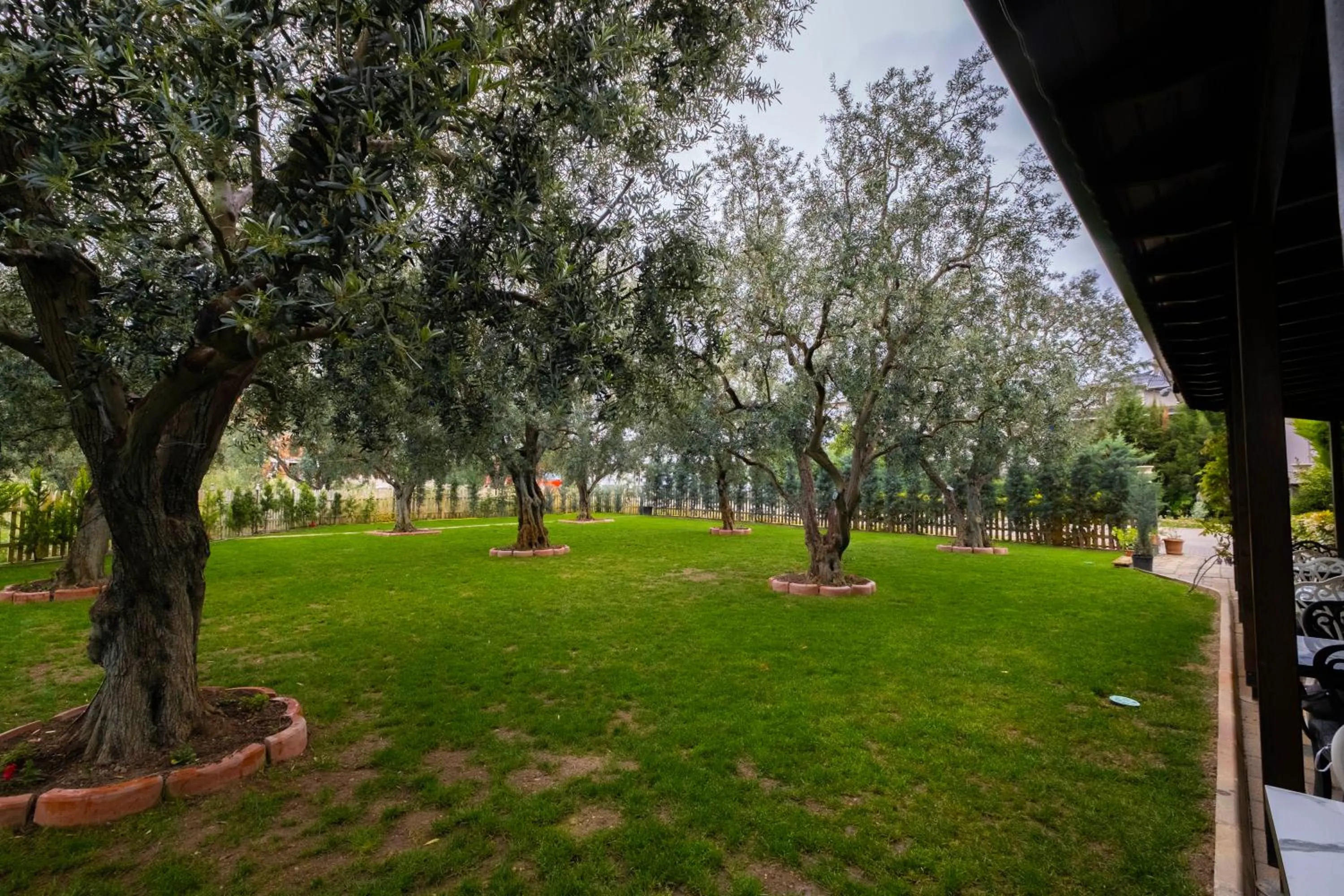 Garden in Eleia Hotel İznik