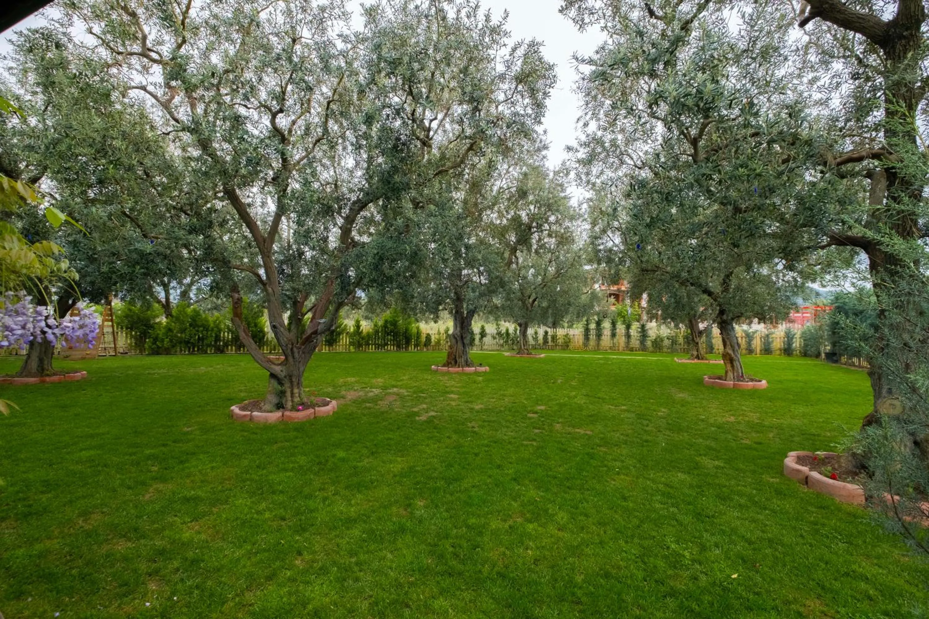 Garden in Eleia Hotel İznik
