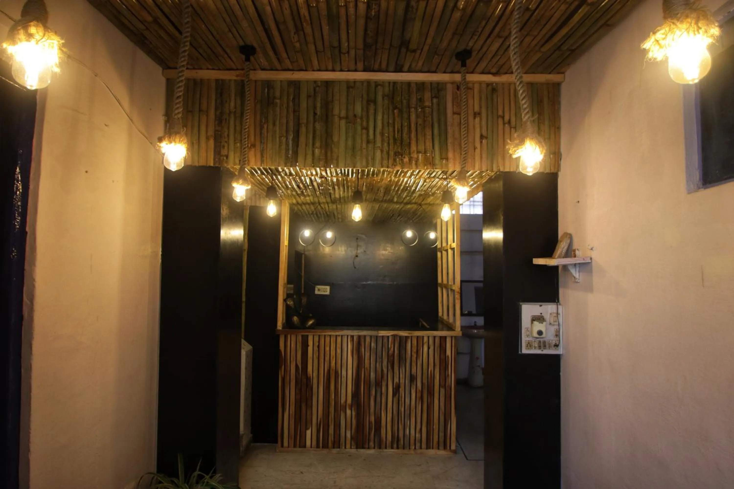 Trip In Hostel, Udaipur