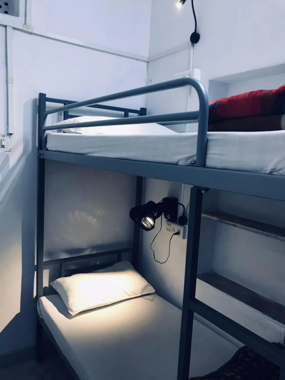 Bed in Trip In Hostel, Udaipur