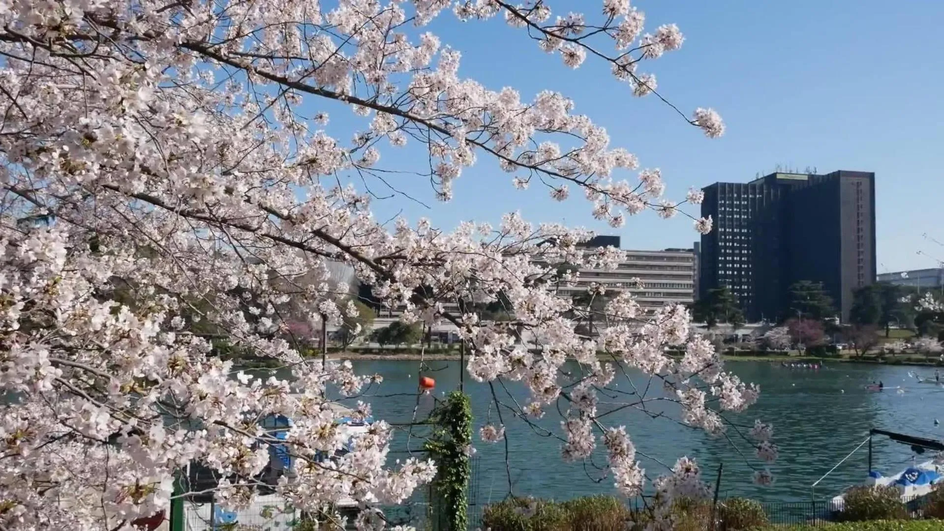 Nearby landmark in Interno 1 Ciampino Roma Luxury Apartment con balcone