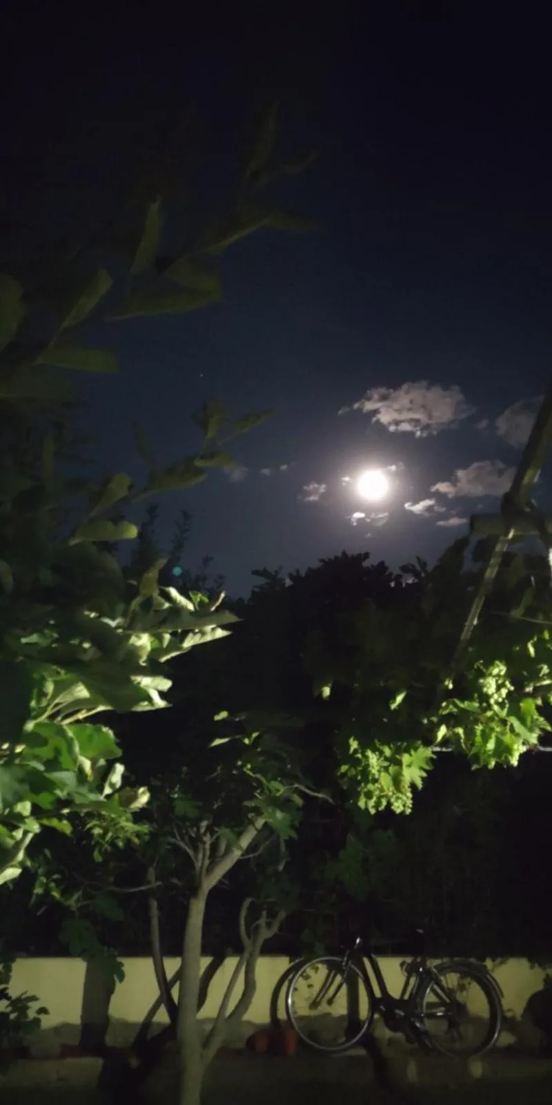 Night in Morska Zvezda Guest House