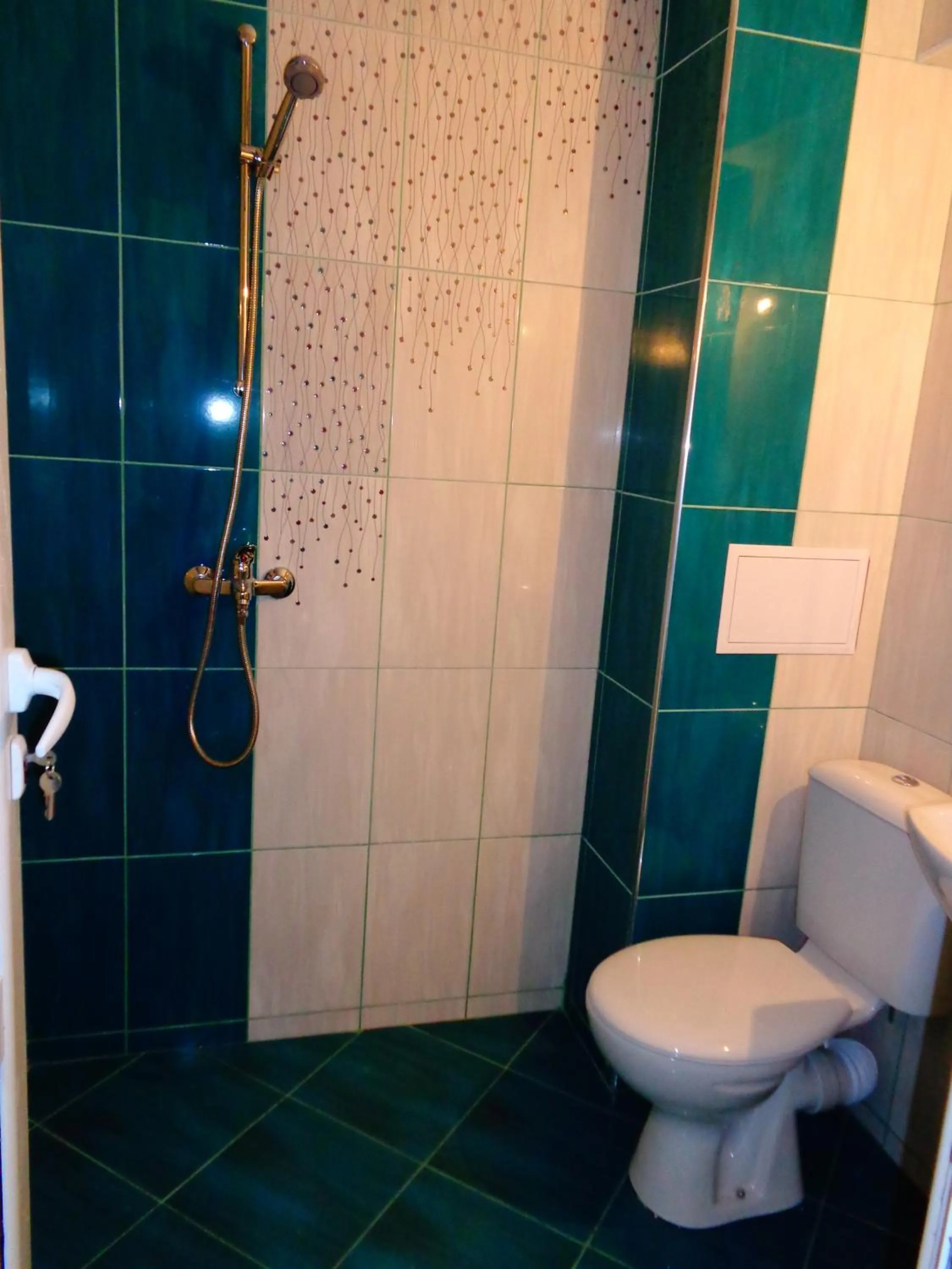 Shower in Morska Zvezda Guest House