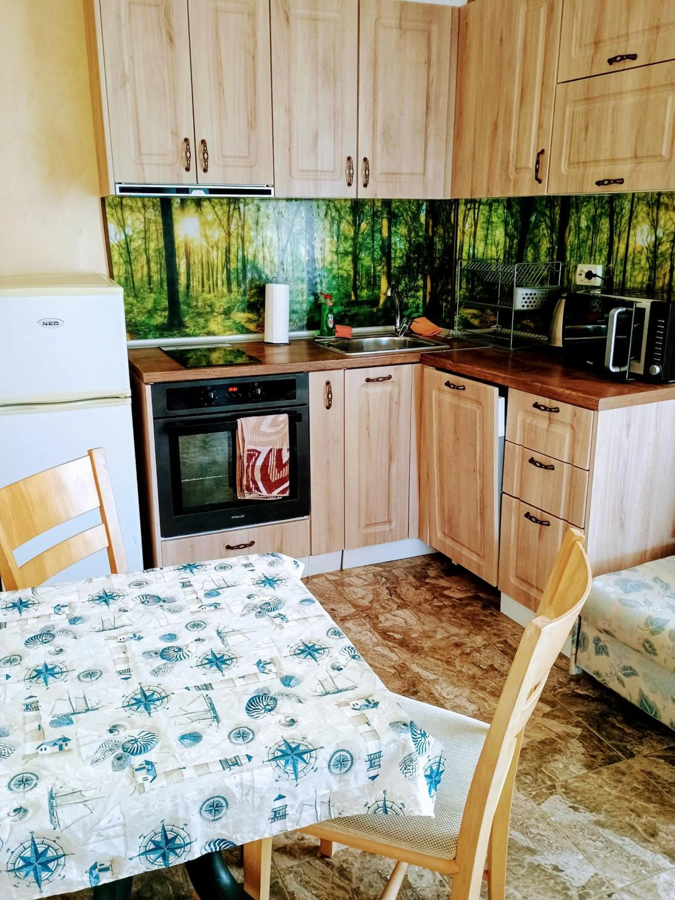 Kitchen or kitchenette in Morska Zvezda Guest House