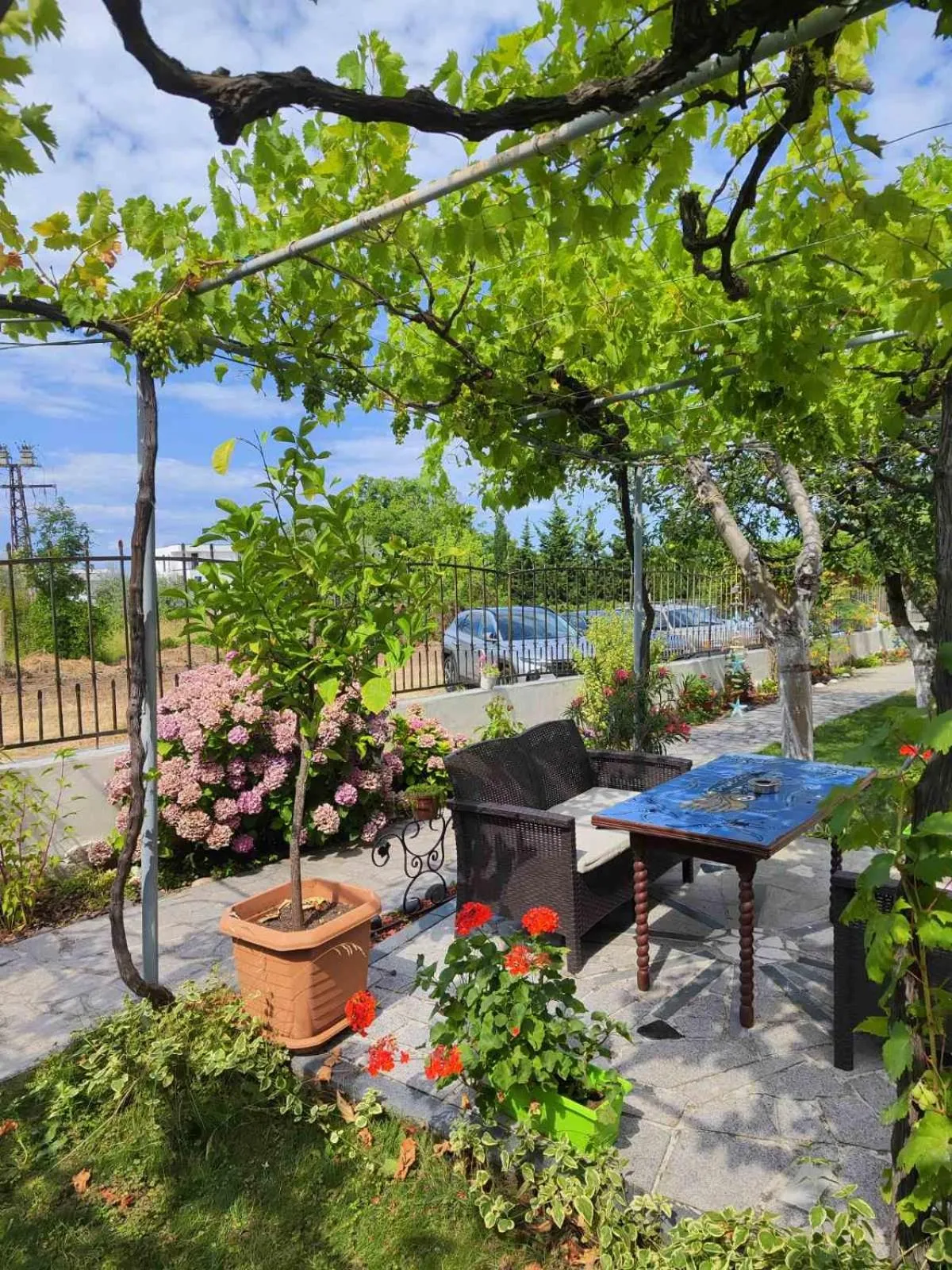 Patio in Morska Zvezda Guest House