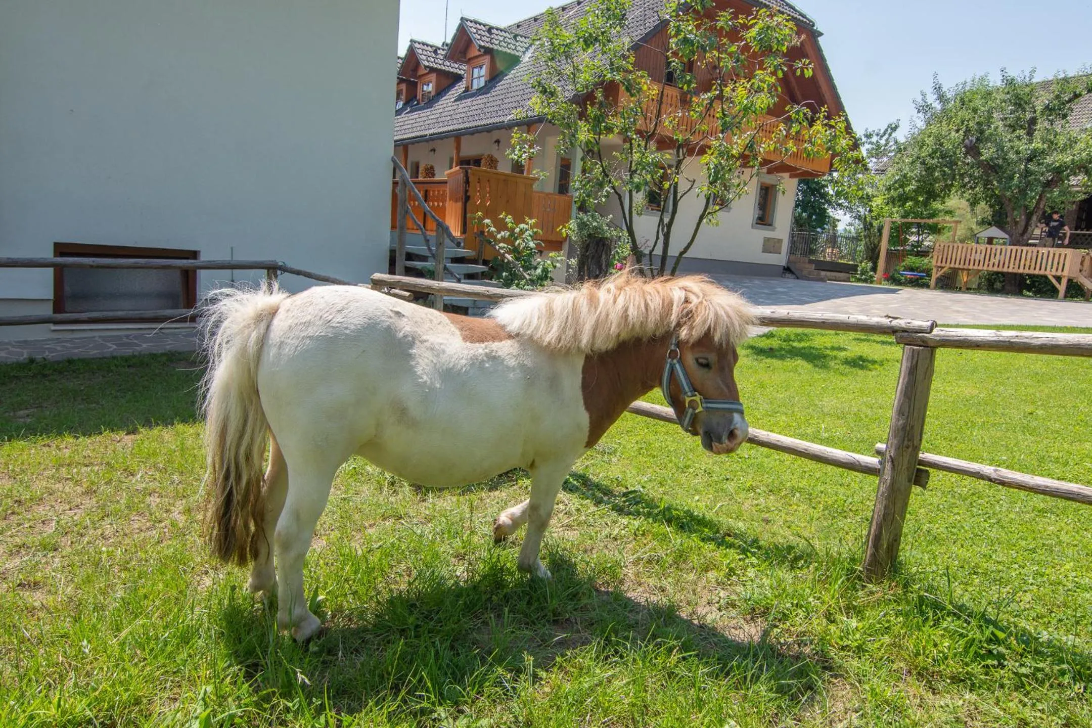 Tourist Farm "Pri Biscu"