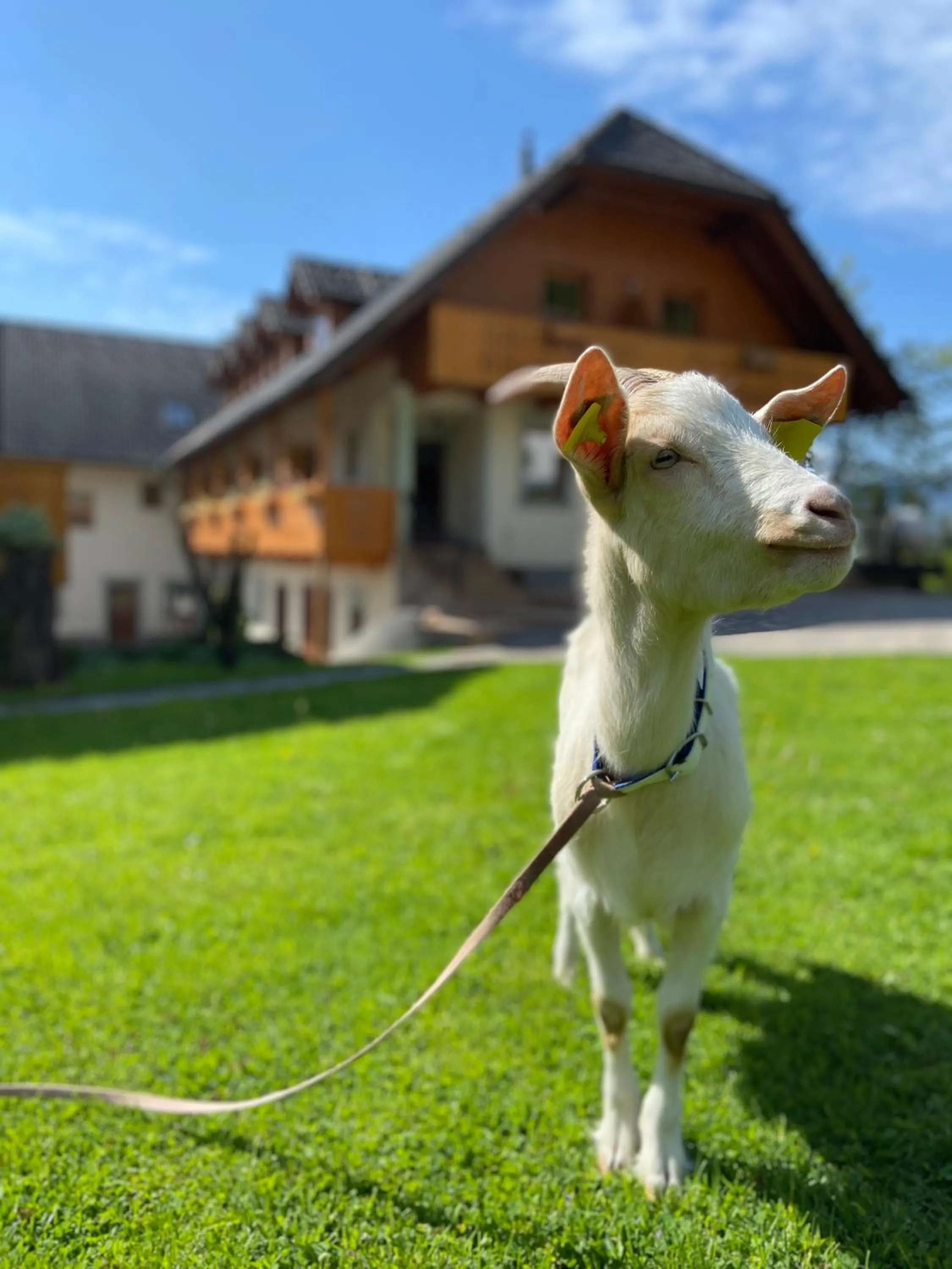Tourist Farm "Pri Biscu"