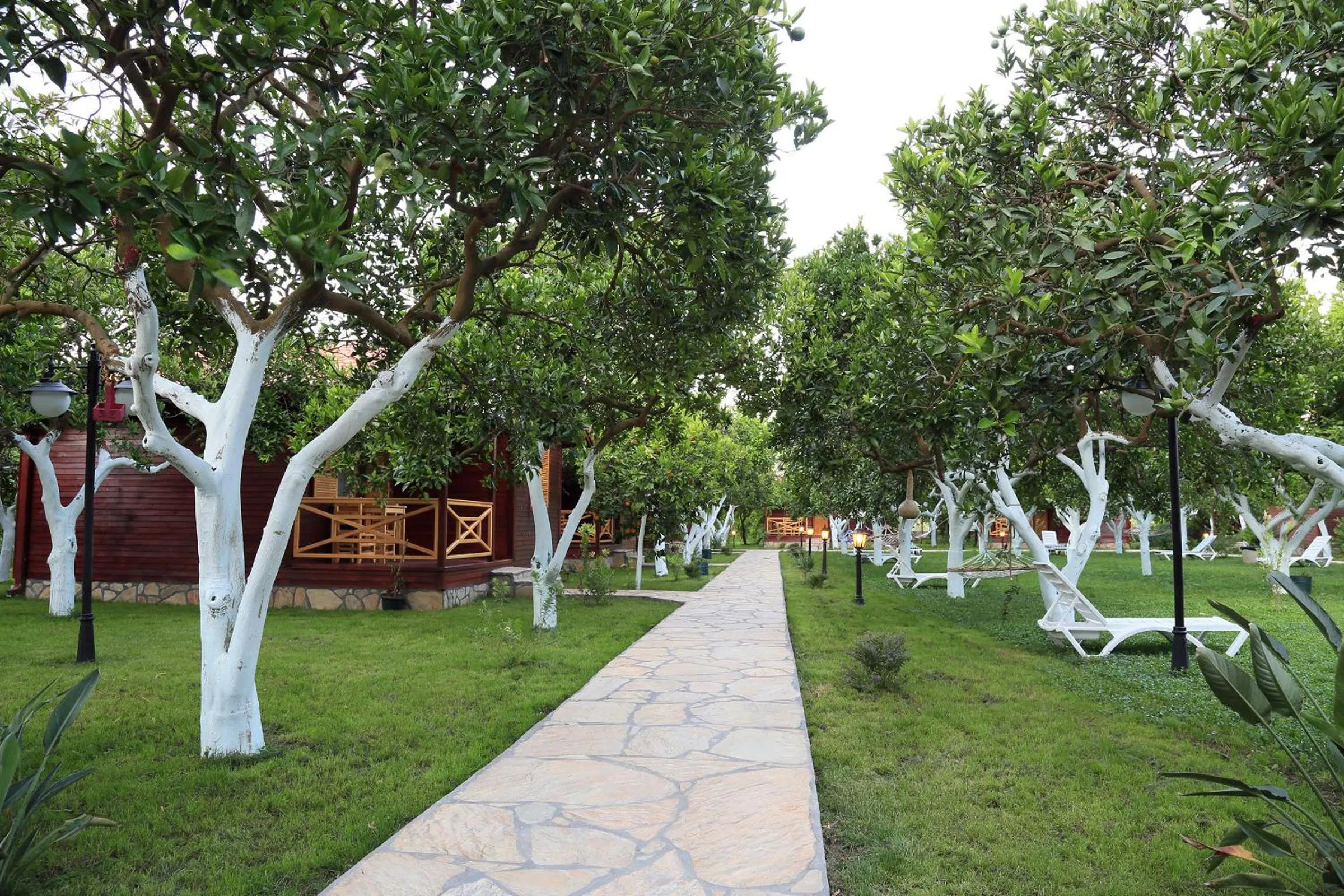 Garden in Mercan Bungalow