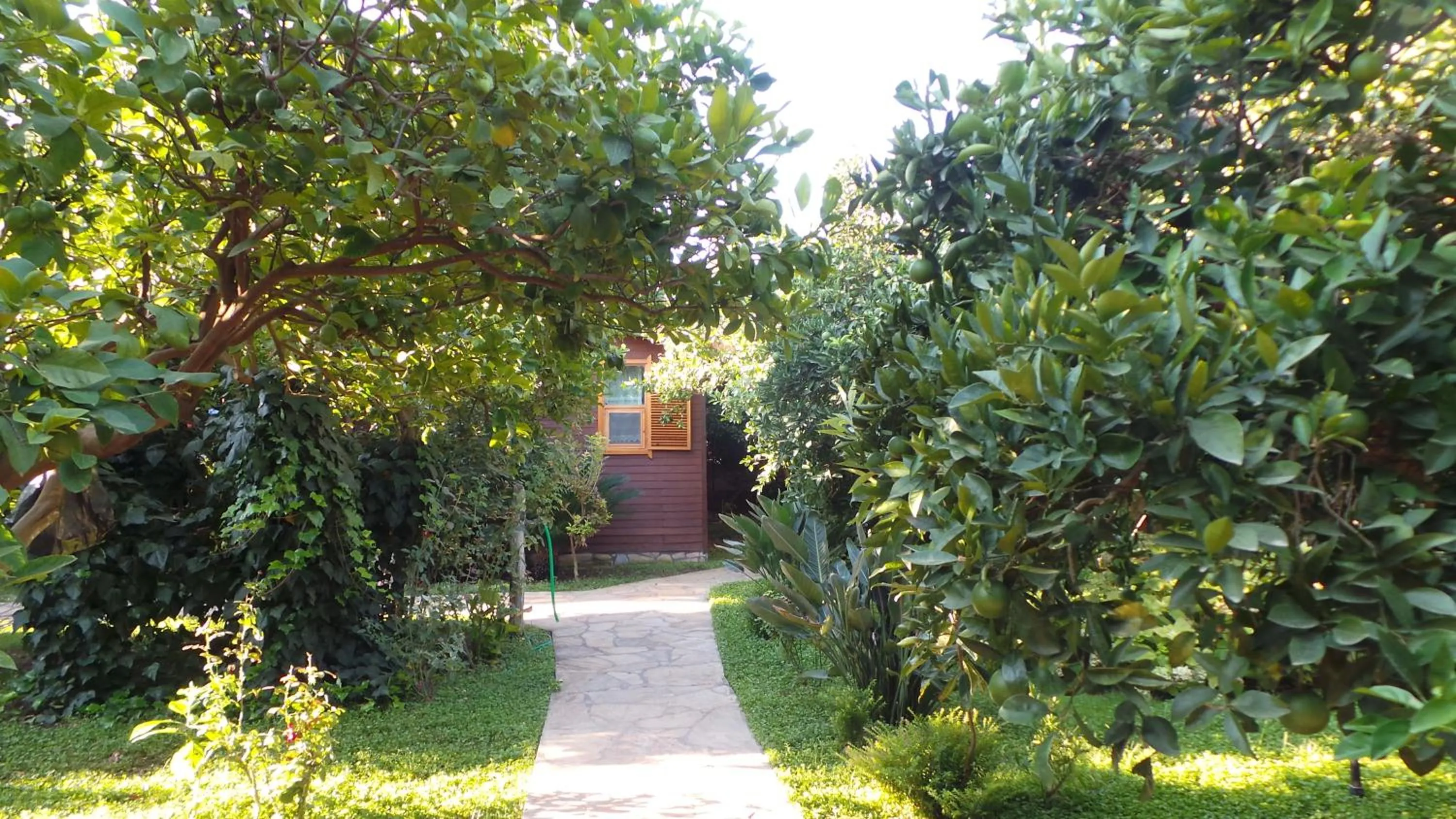 Garden in Mercan Bungalow