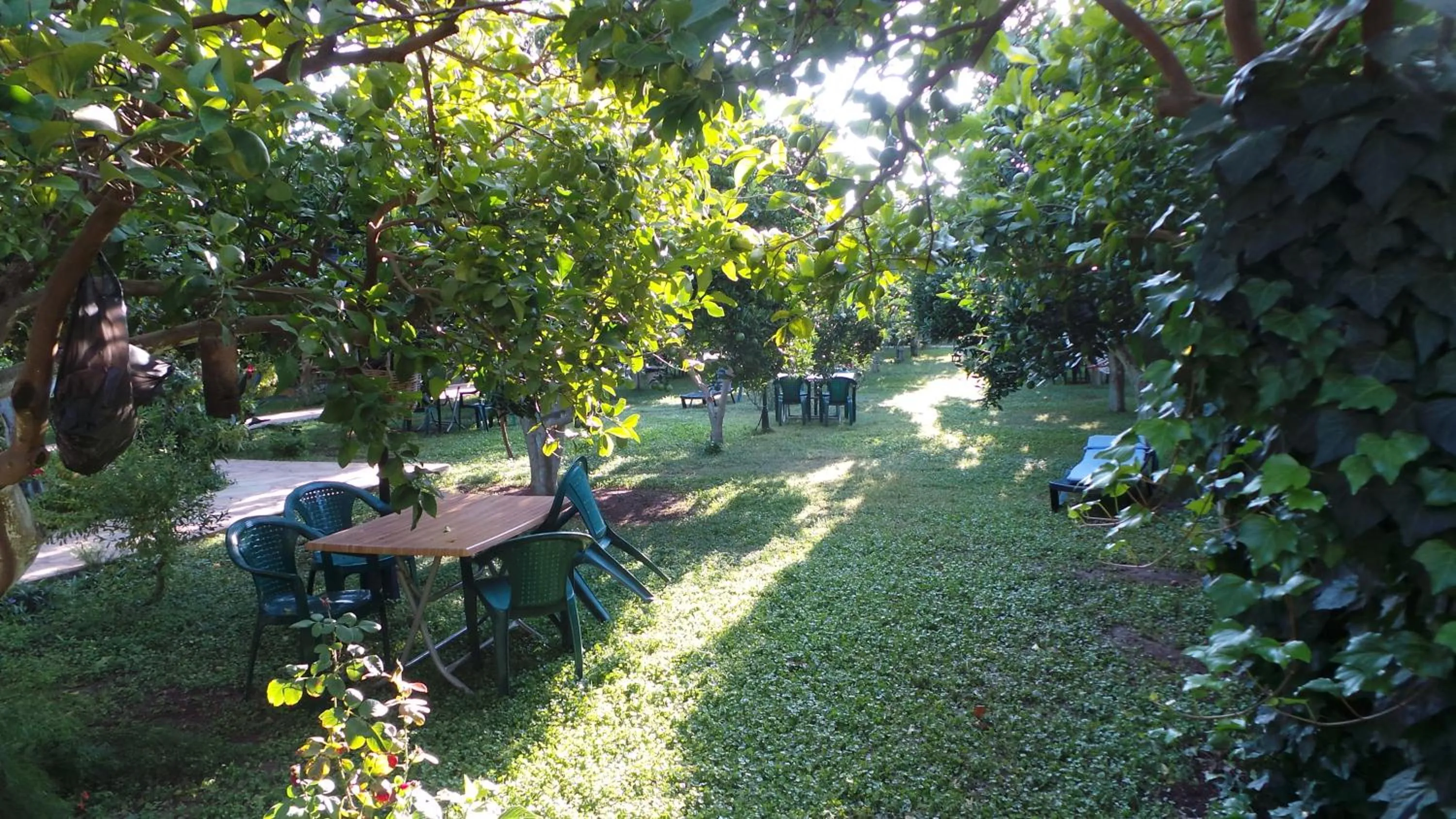 Garden in Mercan Bungalow