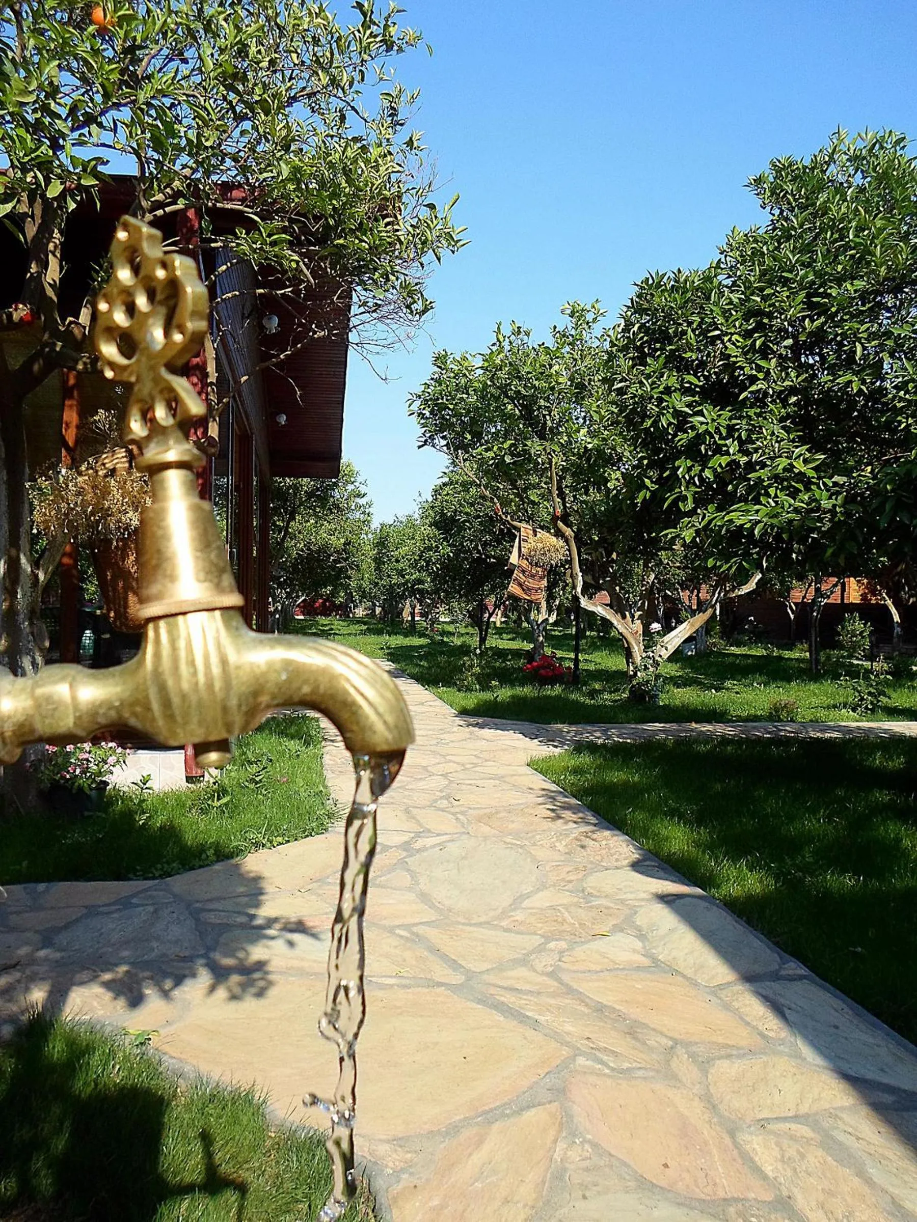 Garden in Mercan Bungalow