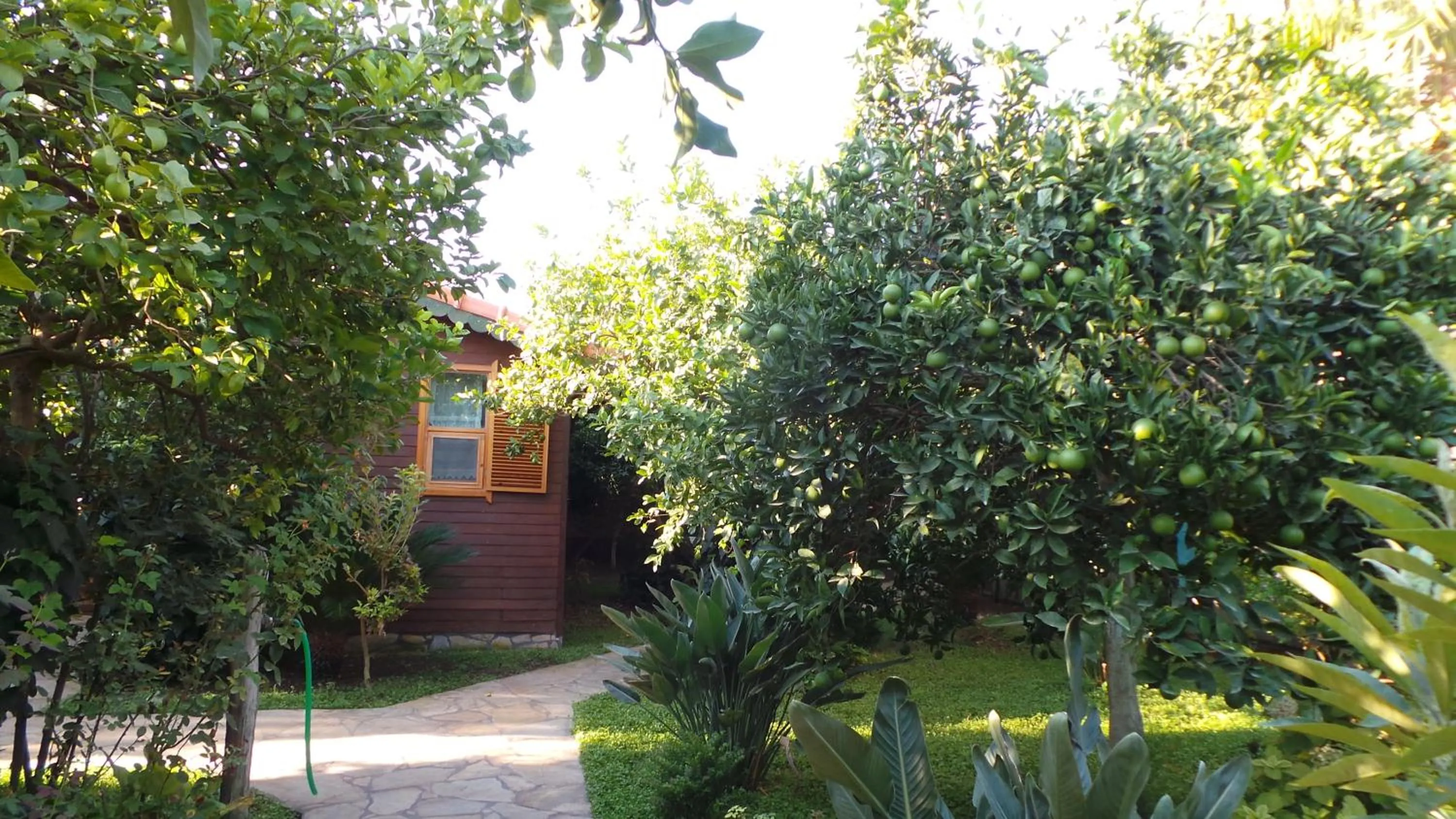 Garden in Mercan Bungalow