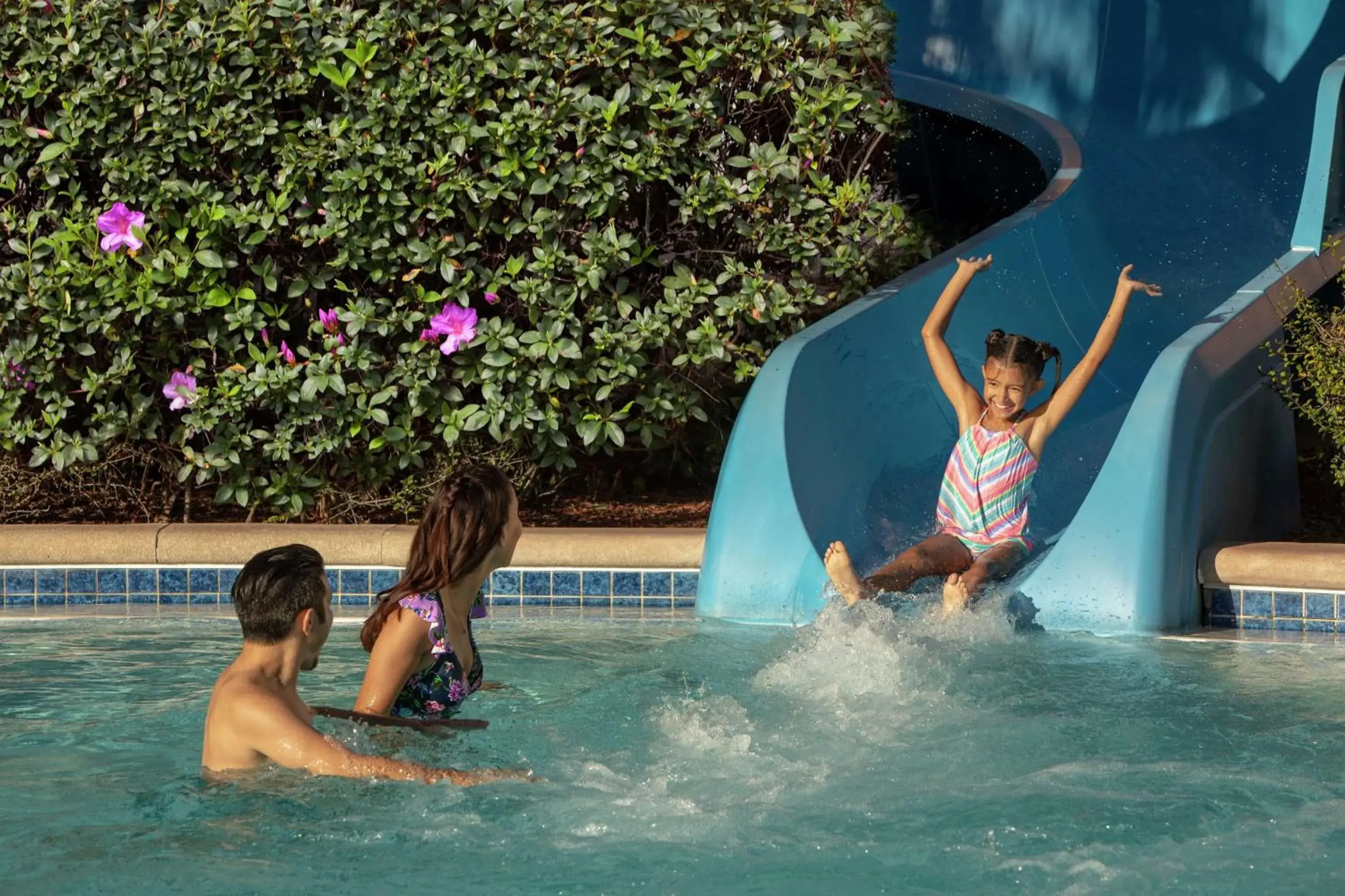Pool view in Hilton Orlando Pool view in Hilton Orlando