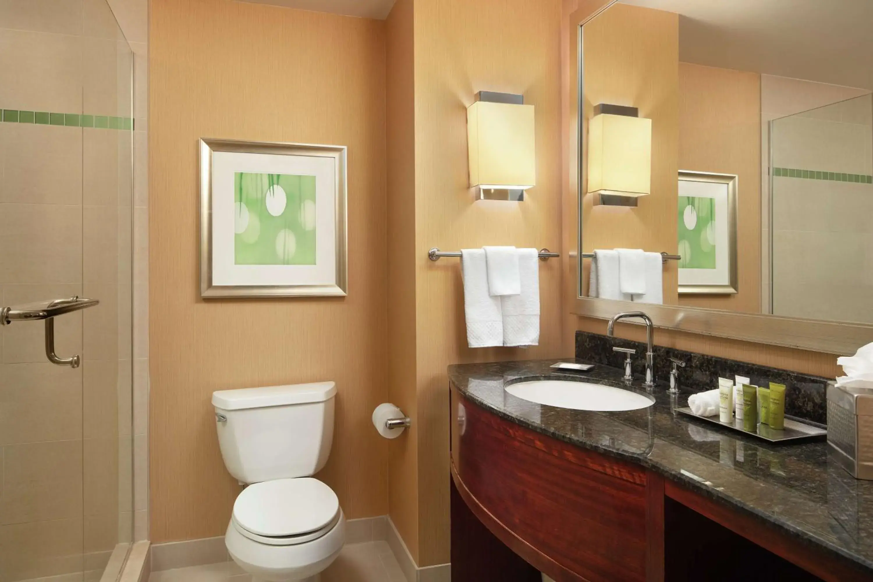 Bathroom in Hilton Orlando Bathroom in Hilton Orlando