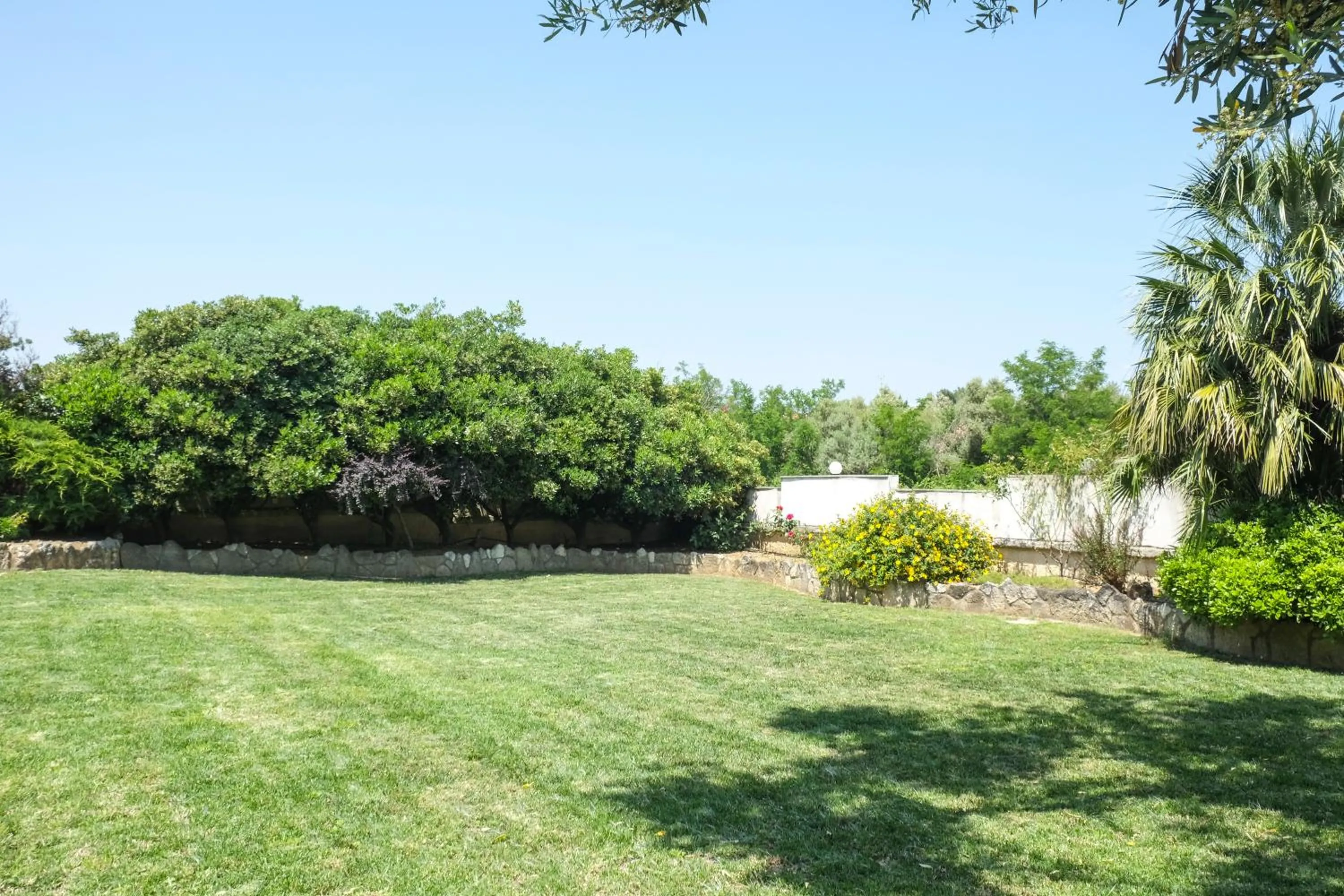 Garden in Aphrodite Studios