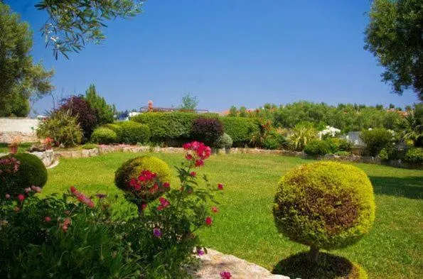 Garden in Aphrodite Studios
