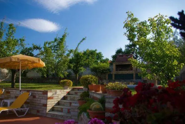 Garden in Aphrodite Studios