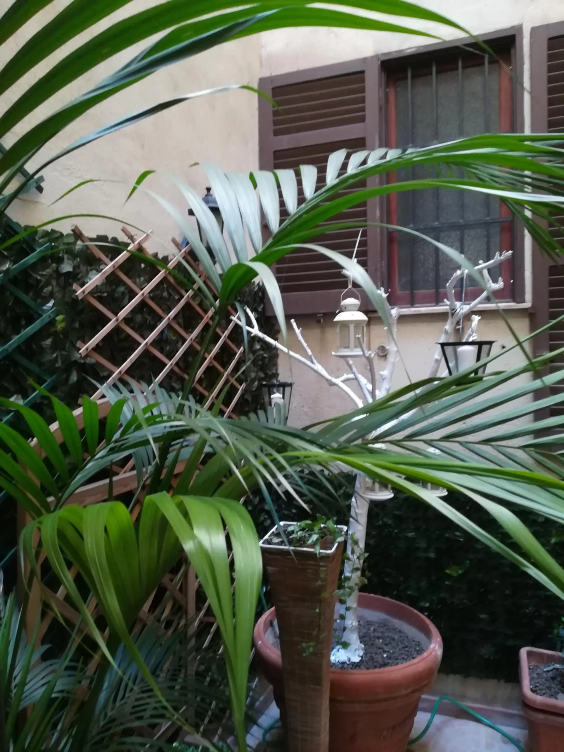 Patio in Relais Palazzo Taverna