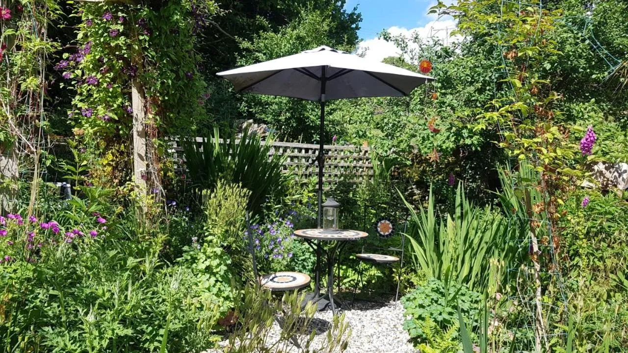 Garden in Yr Hen Farcdy