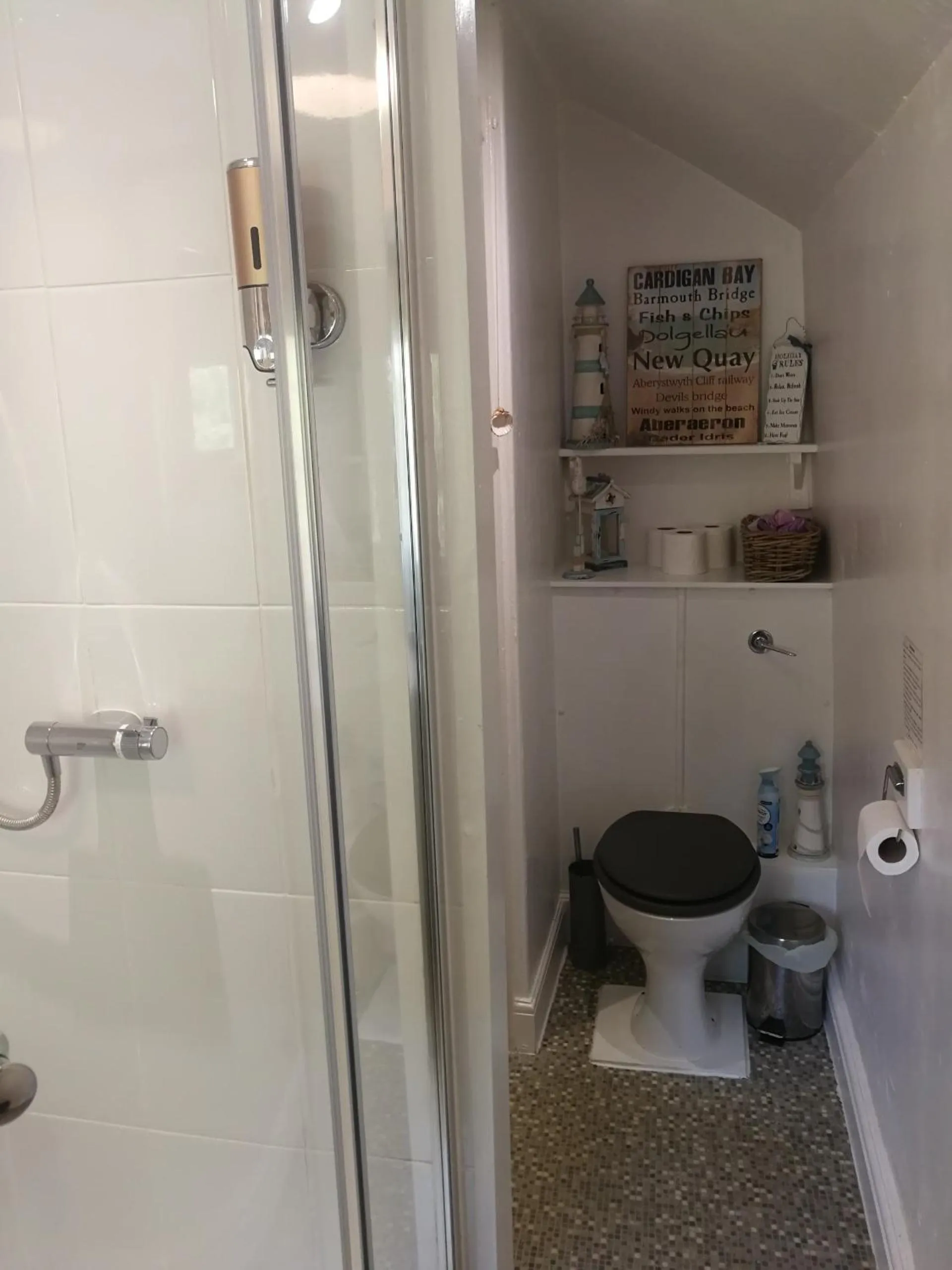 Shower in Yr Hen Farcdy