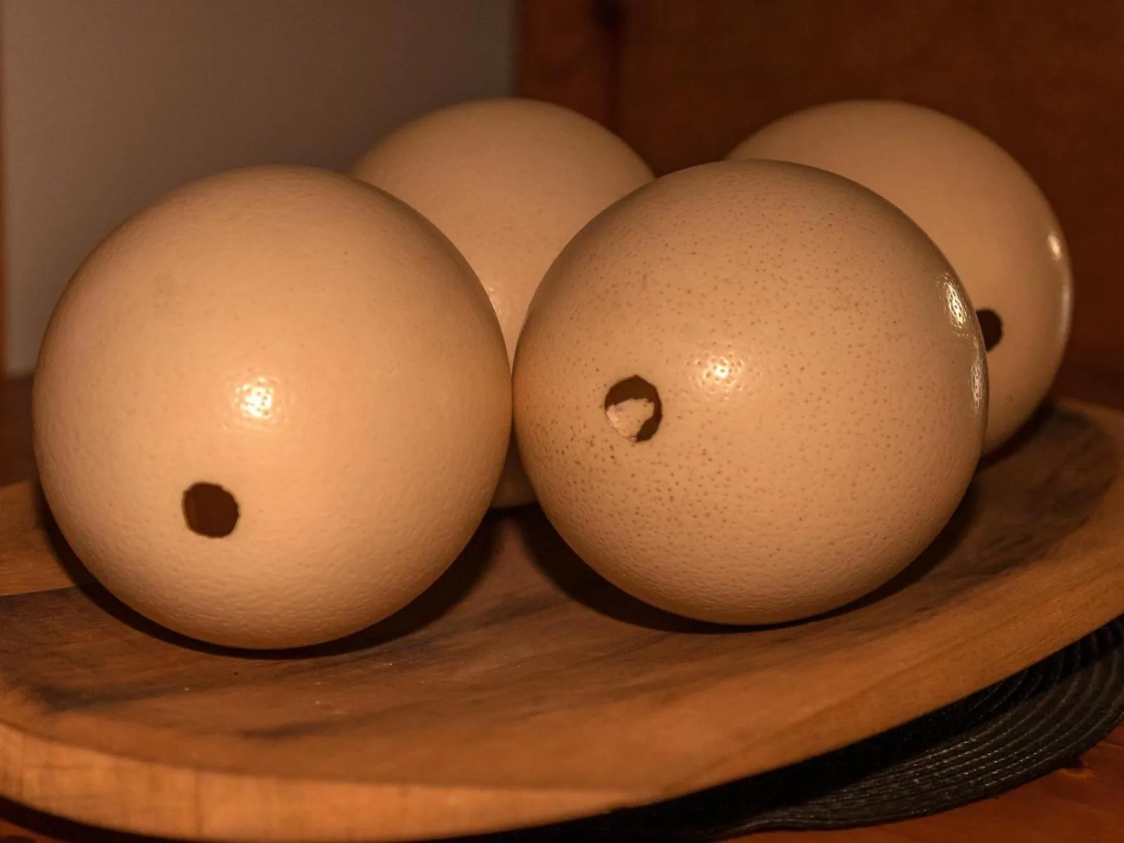 Decorative detail in Donsveertjie Gasteplaas & Venue