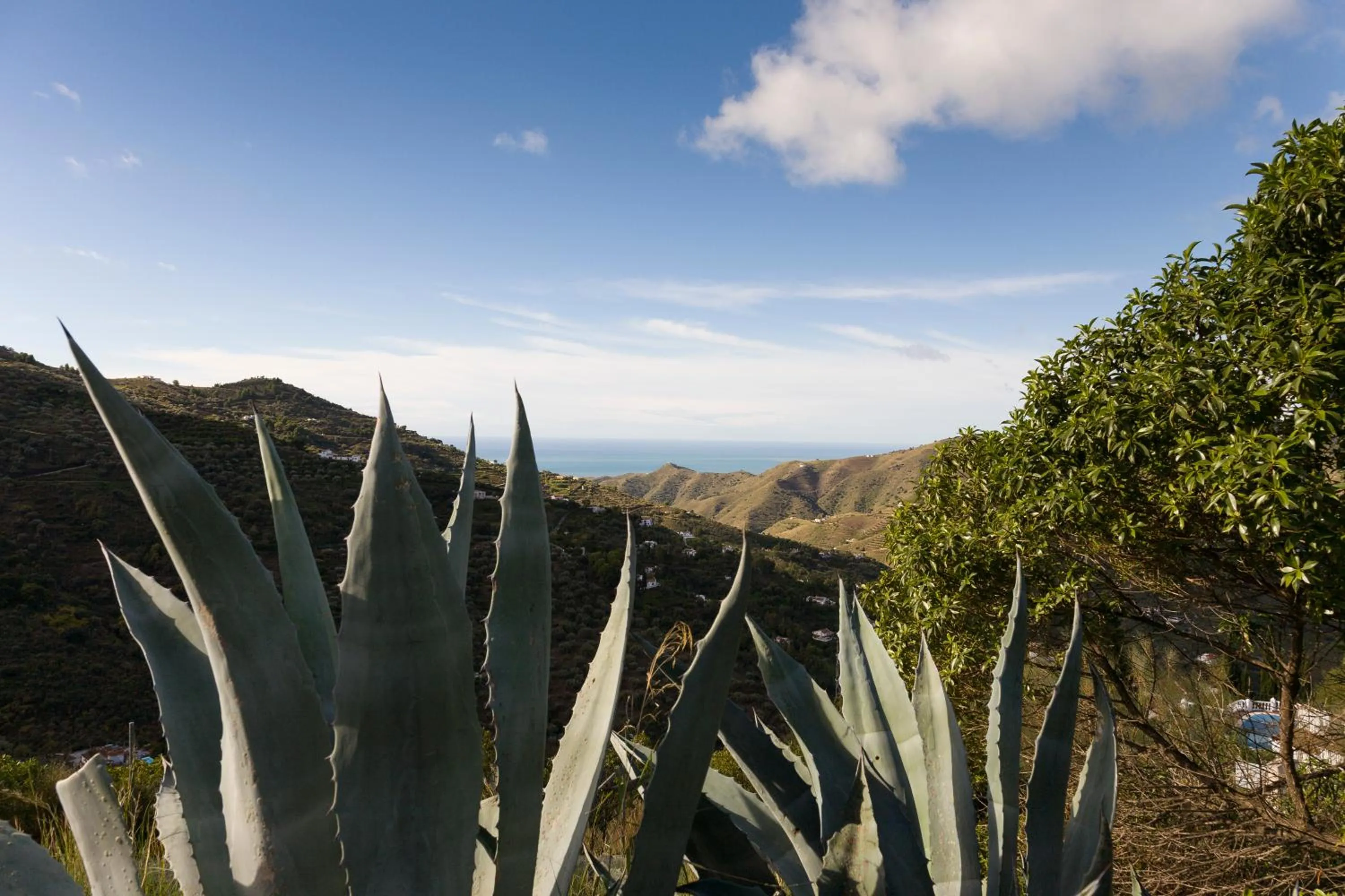 Nearby landmark in Bed&Breakfast Al Campanario