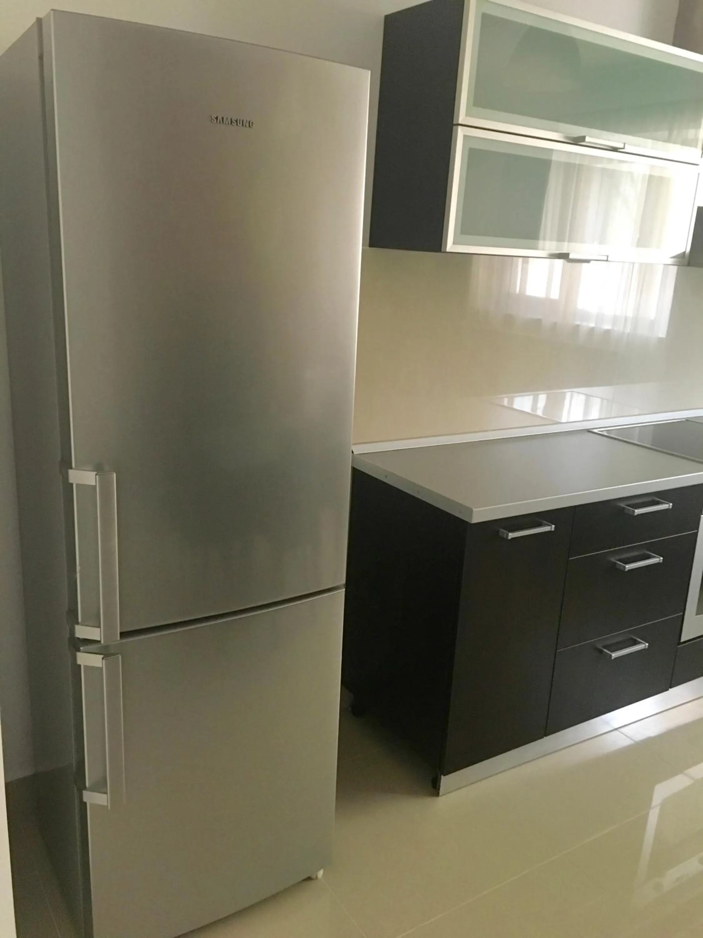 Kitchen or kitchenette in Elysium