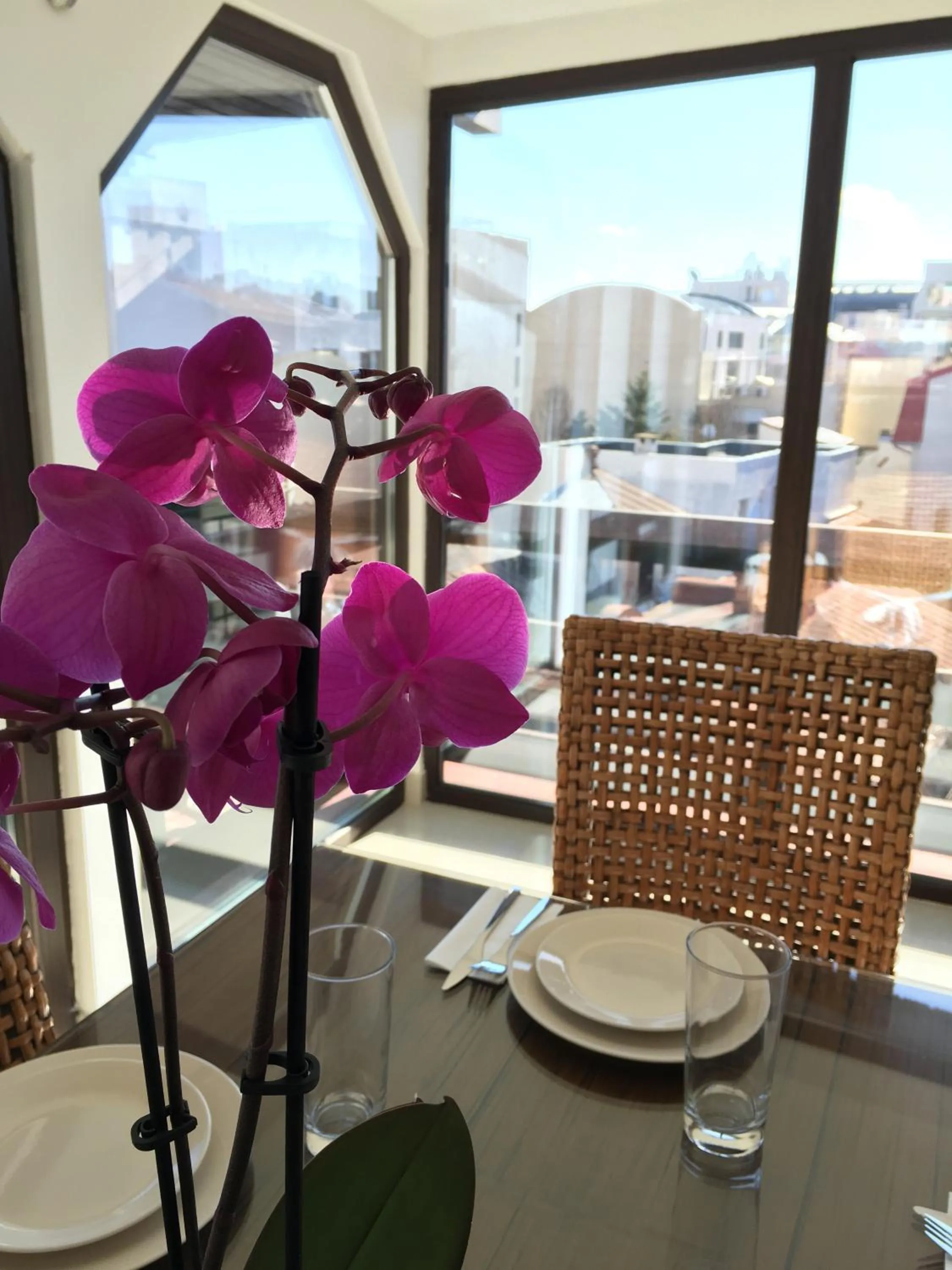 City view in Elysium