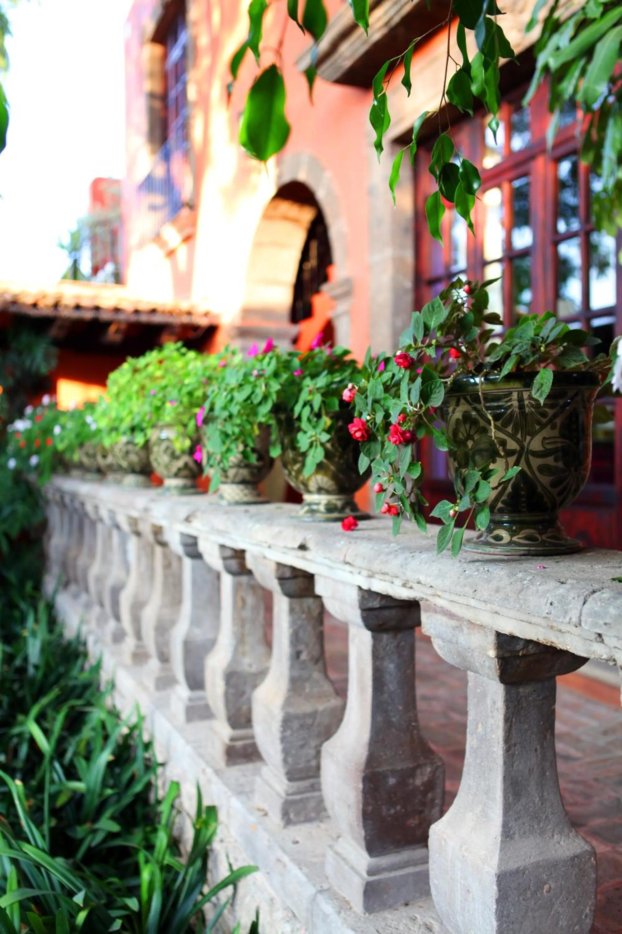 Decorative detail in Casa Schuck Boutique Hotel