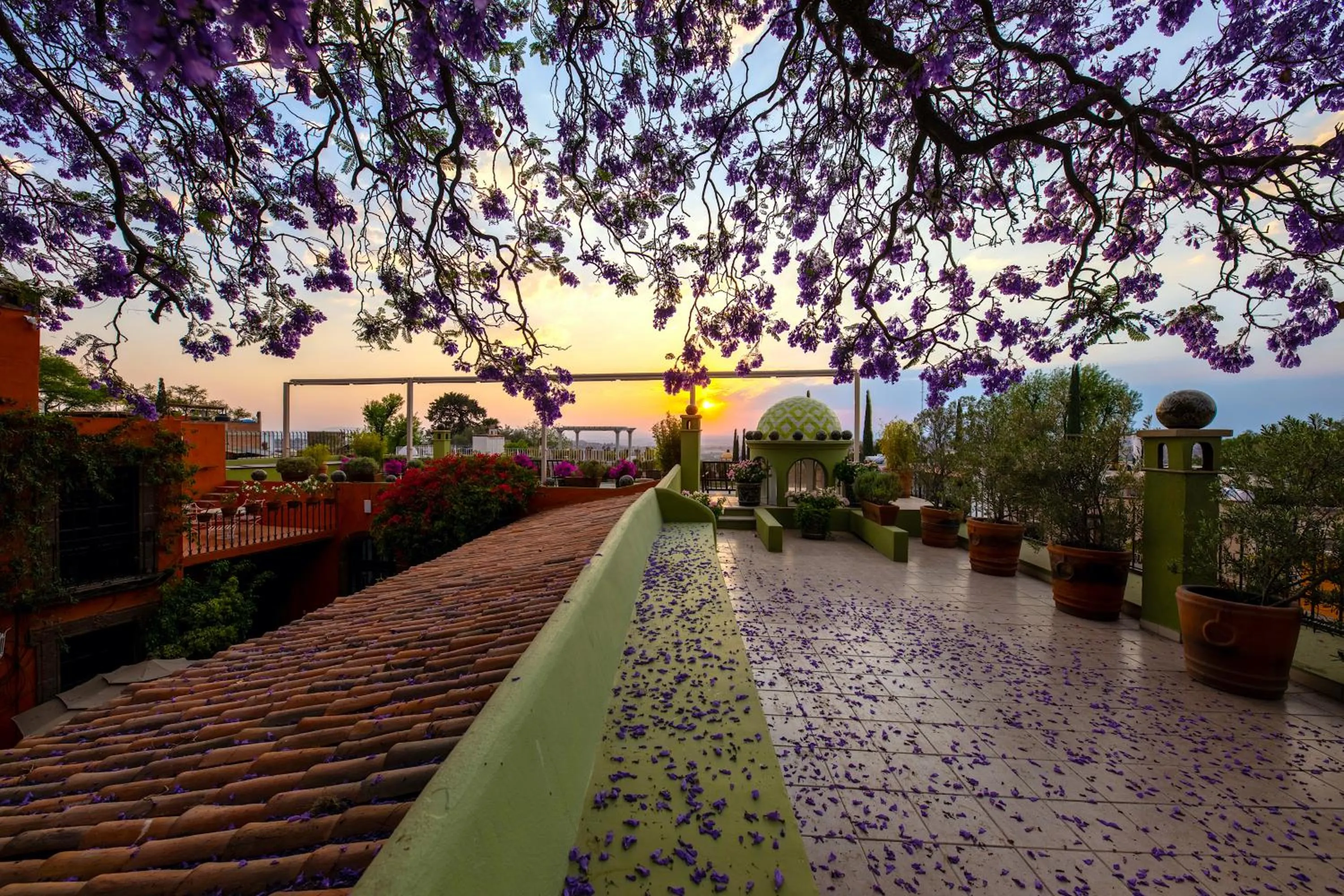 Sunset in Casa Schuck Boutique Hotel