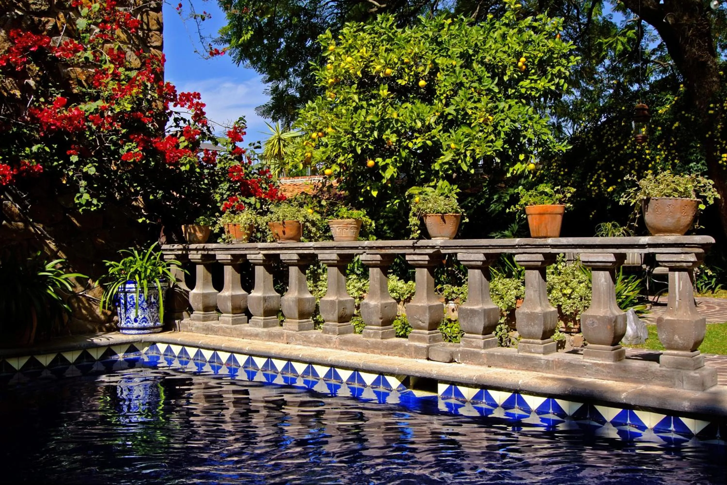 Pool view in Casa Schuck Boutique Hotel