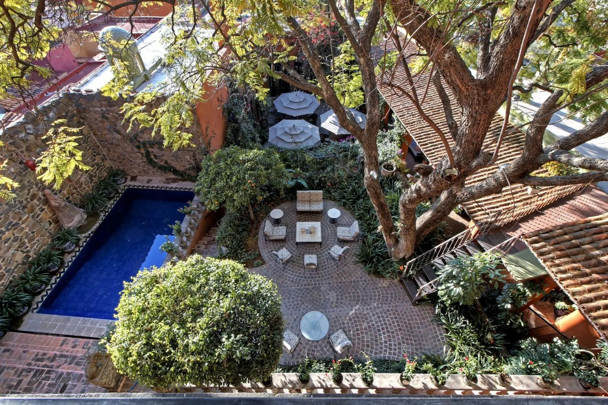 Pool view in Casa Schuck Boutique Hotel