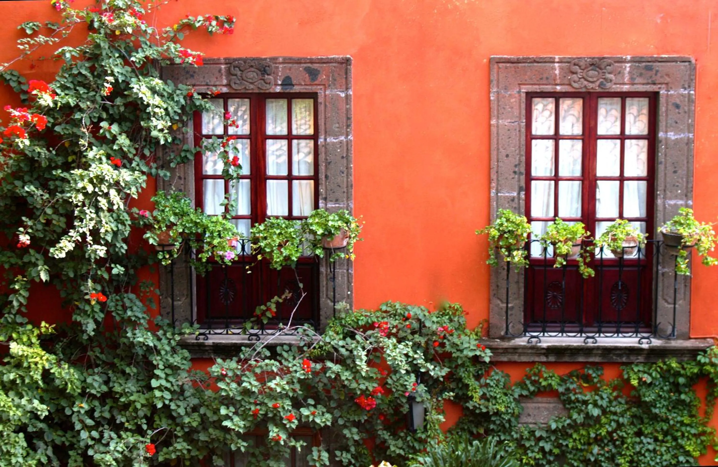 Patio in Casa Schuck Boutique Hotel