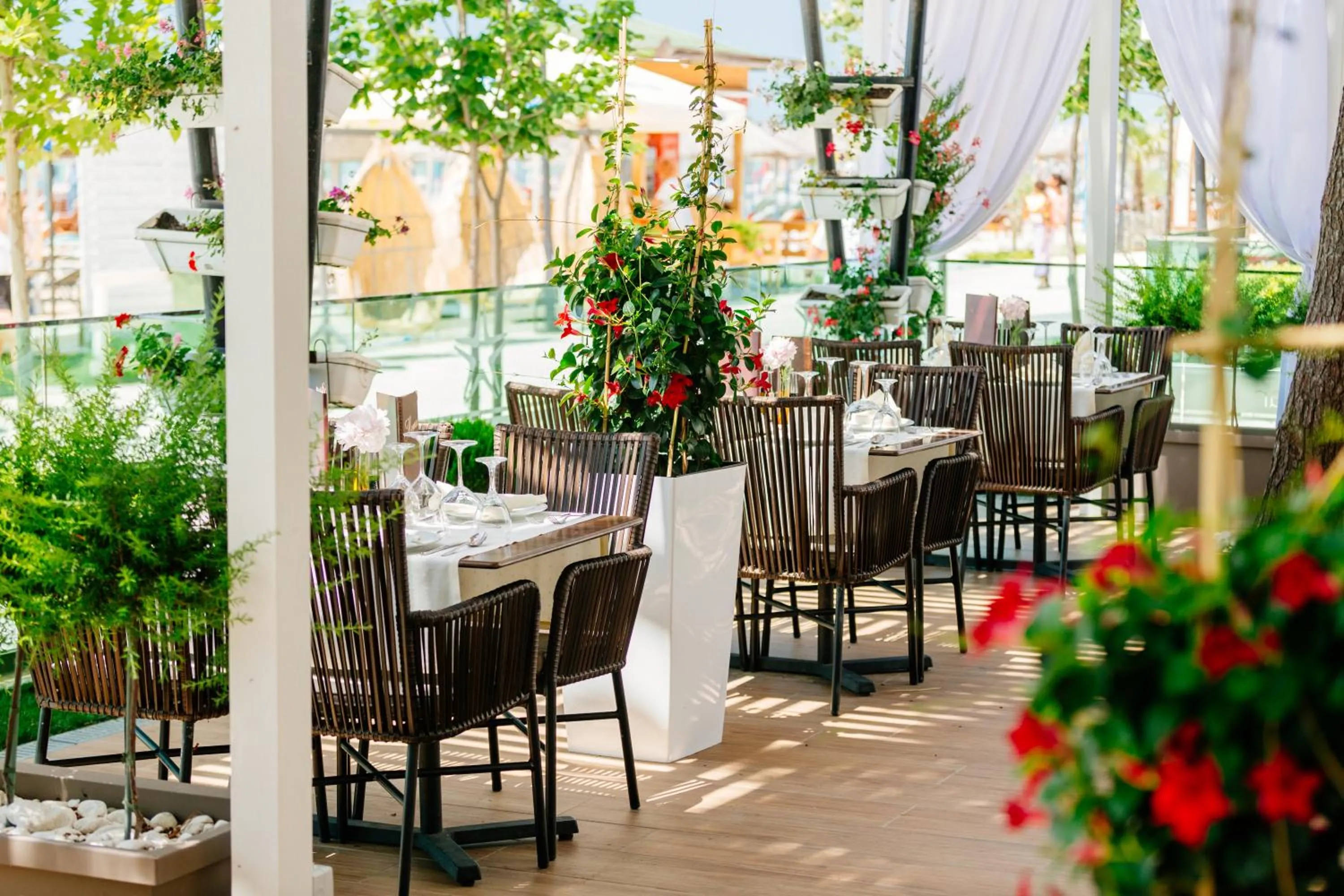 Restaurant/places to eat in Albanian Star Hotel