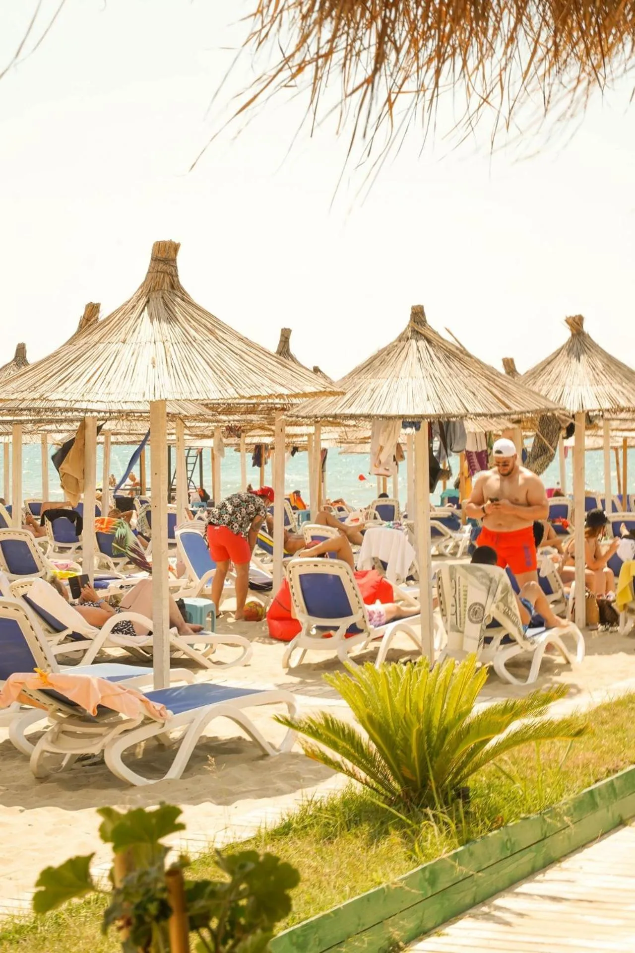 Beach in Albanian Star Hotel