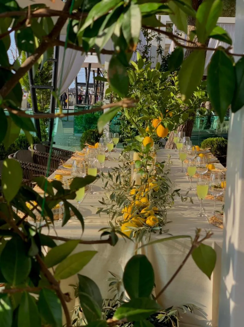 Restaurant/places to eat in Albanian Star Hotel