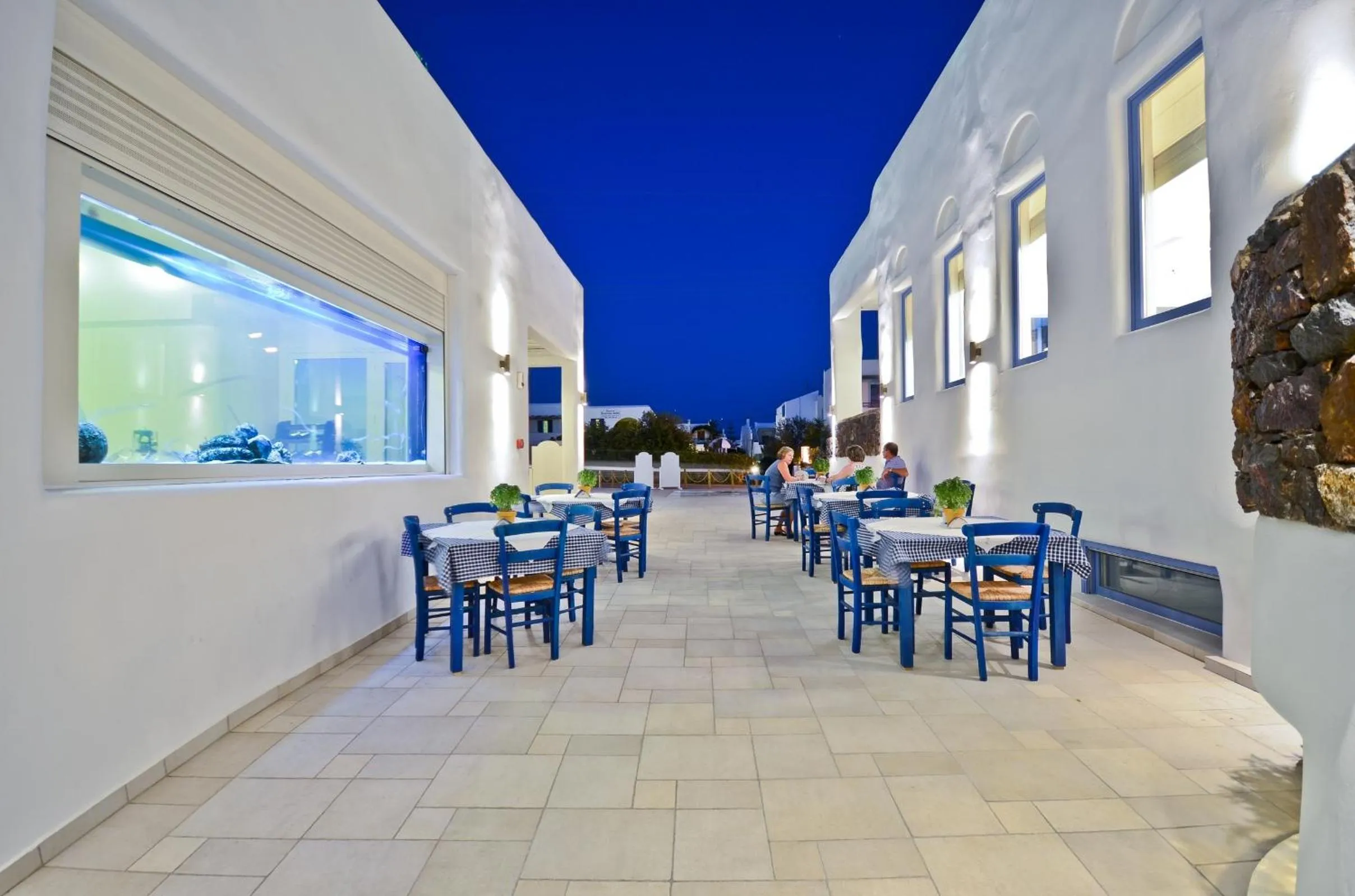 Dinner in Naxos Island Hotel