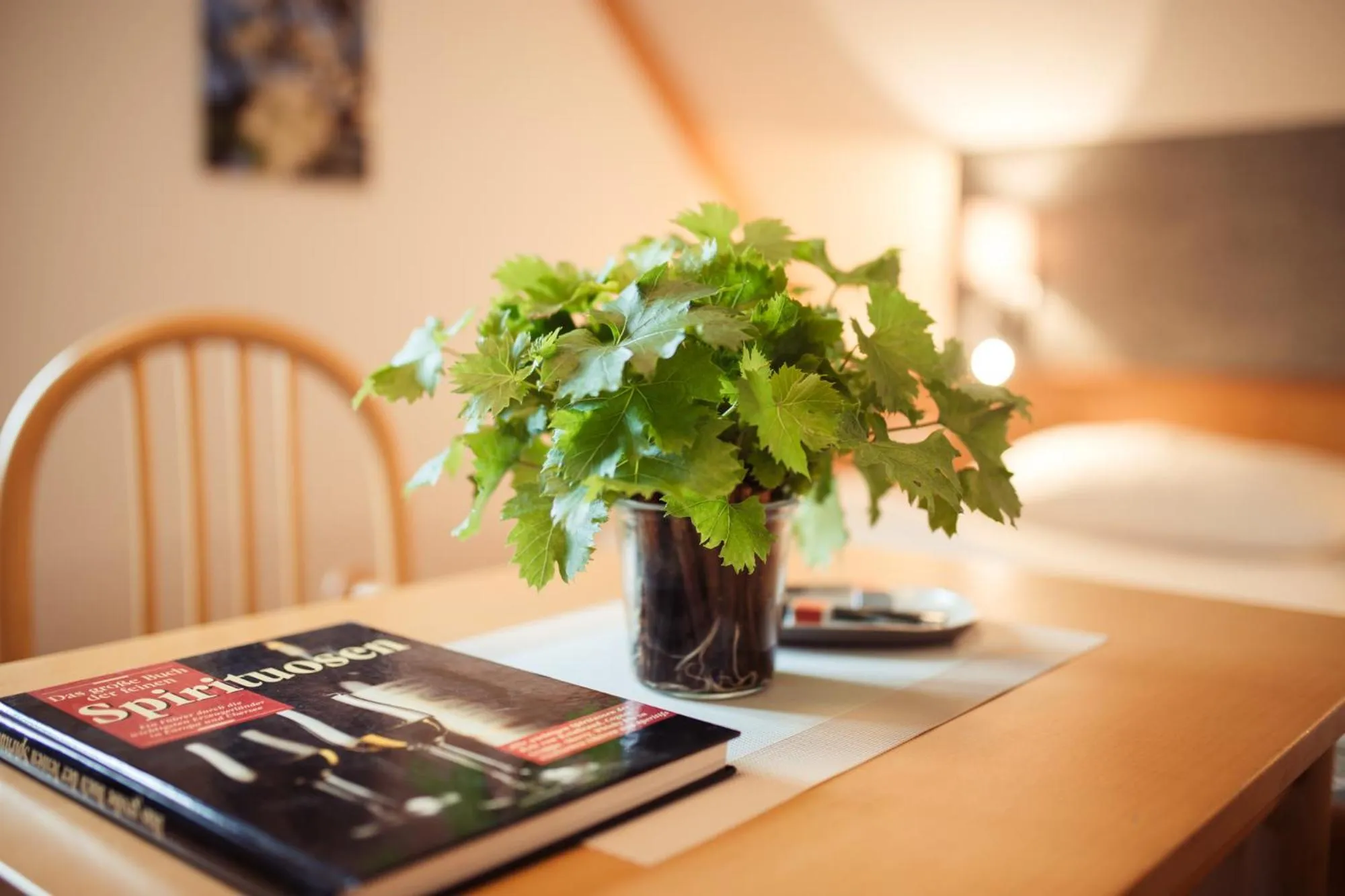 Photo of the whole room in Gästehaus Krappel
