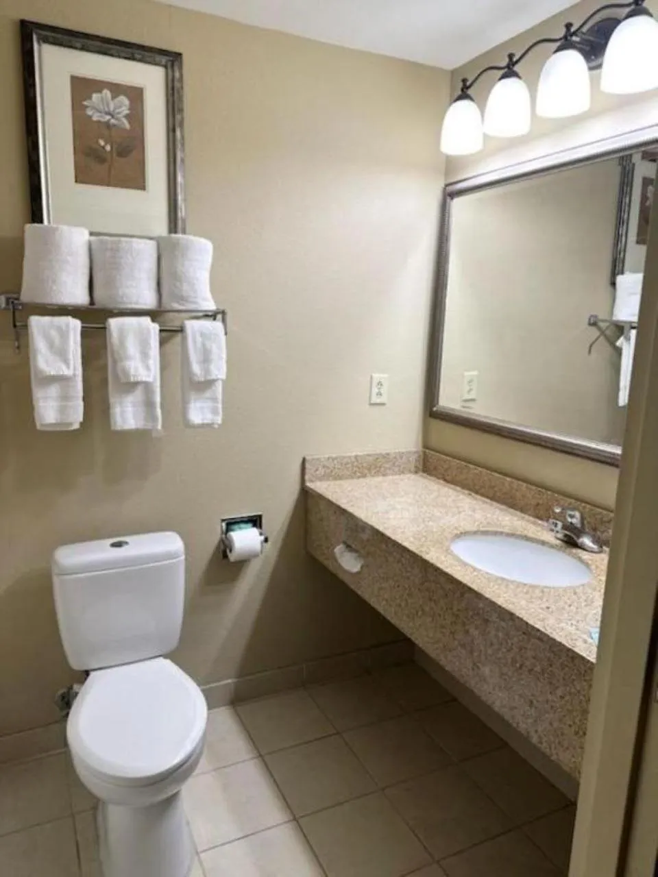 Bathroom in Country Inn & Suites by Radisson, Tuscaloosa, AL