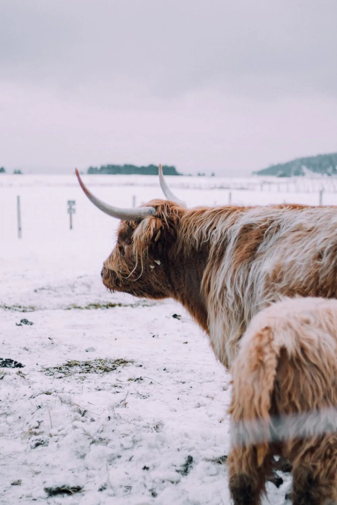 Hôtel & Spa Le Germain Charlevoix