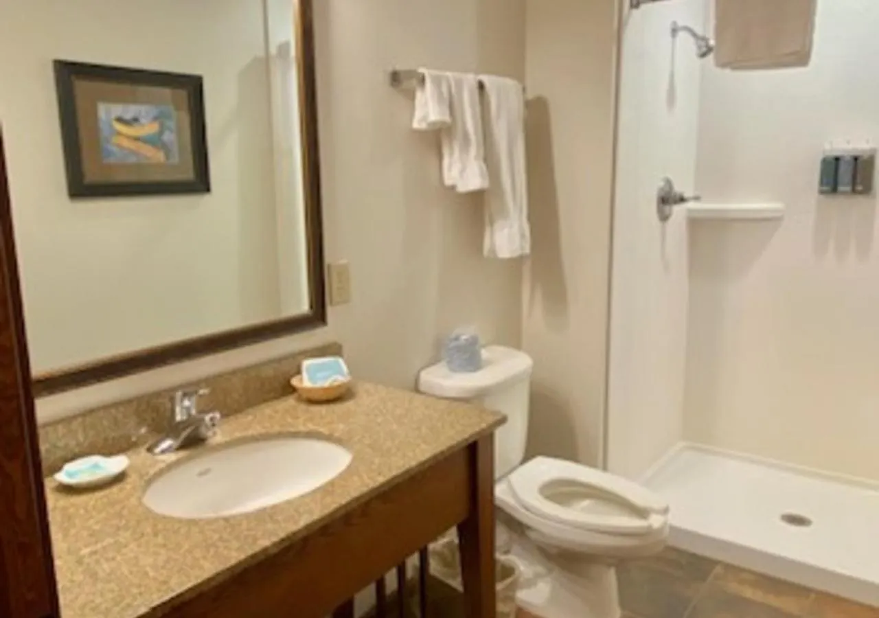 Shower in Arrowwood Resort Hotel and Conference Center - Alexandria