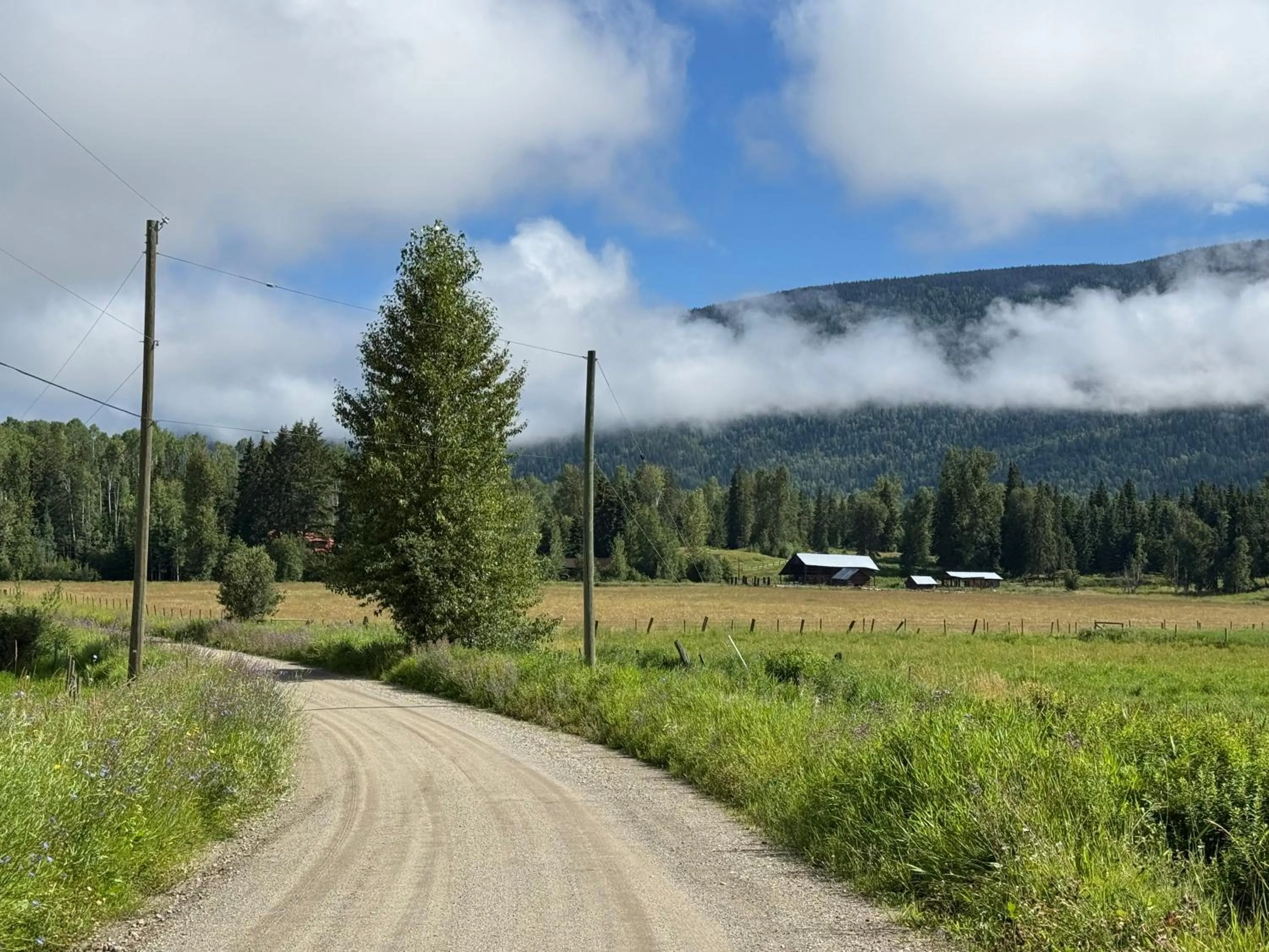 Property building in Nakiska Bear Ranch