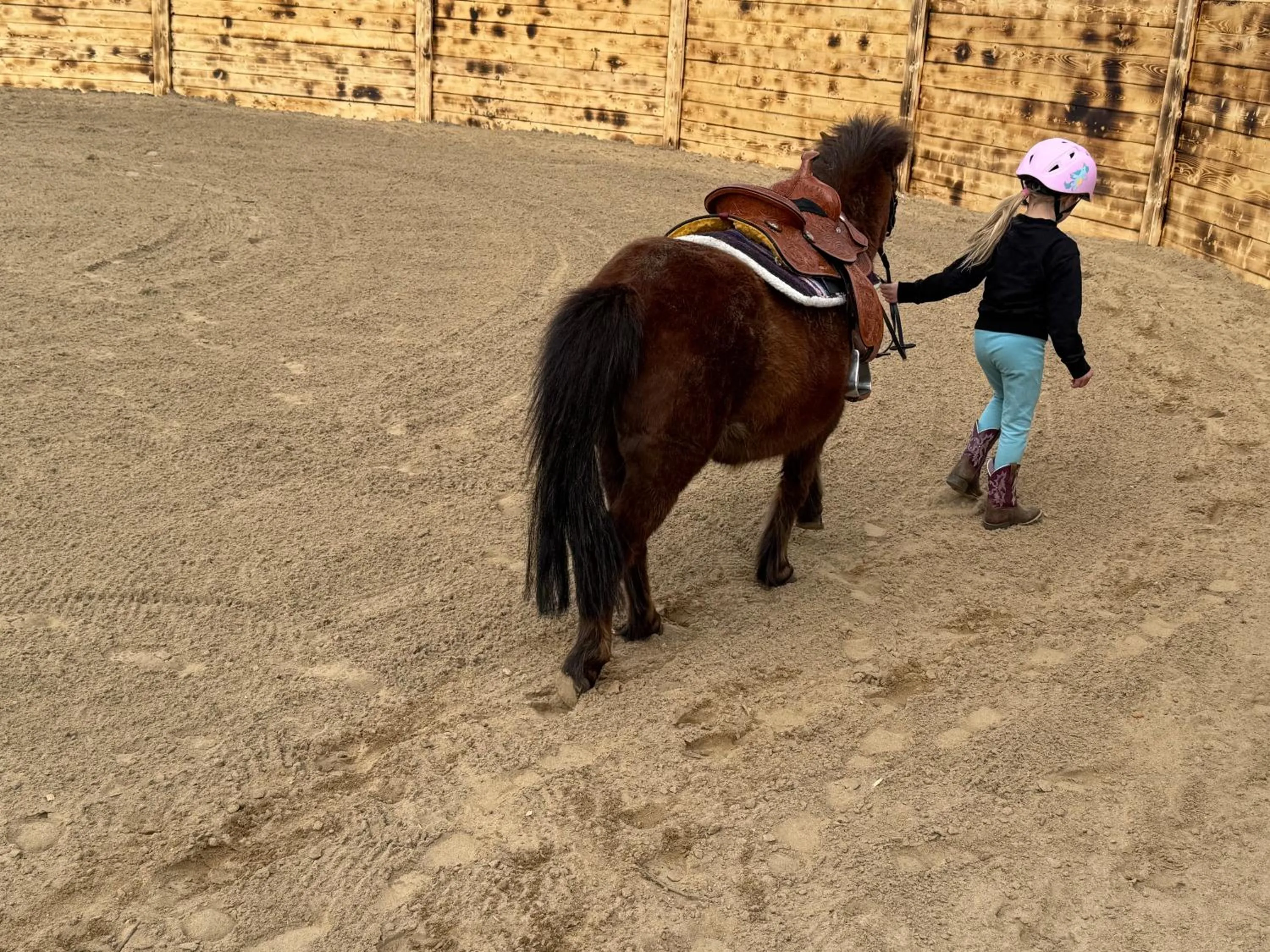 Horse-riding in Nakiska Bear Ranch