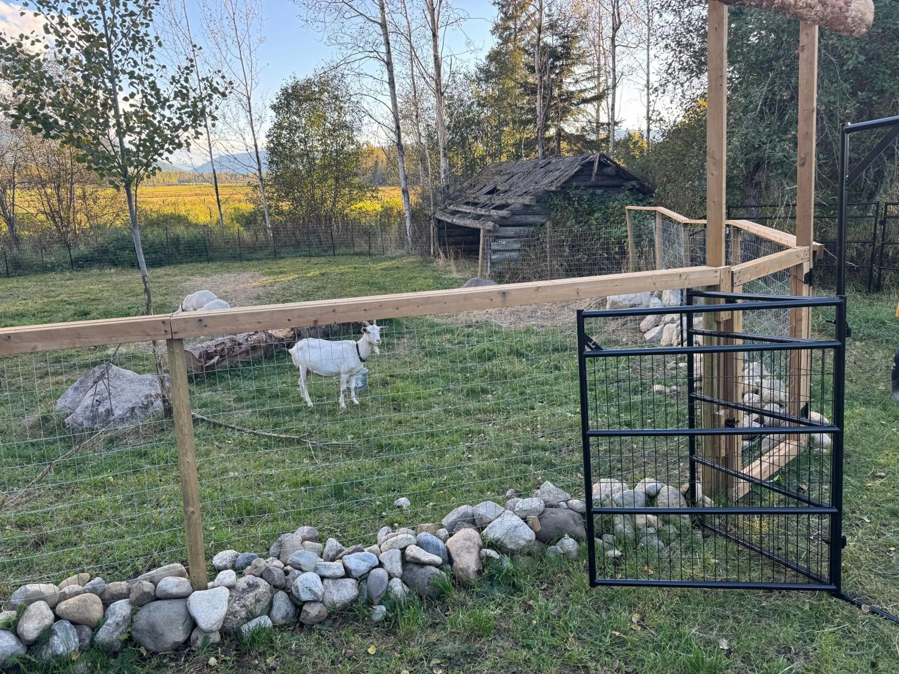 Garden in Nakiska Bear Ranch