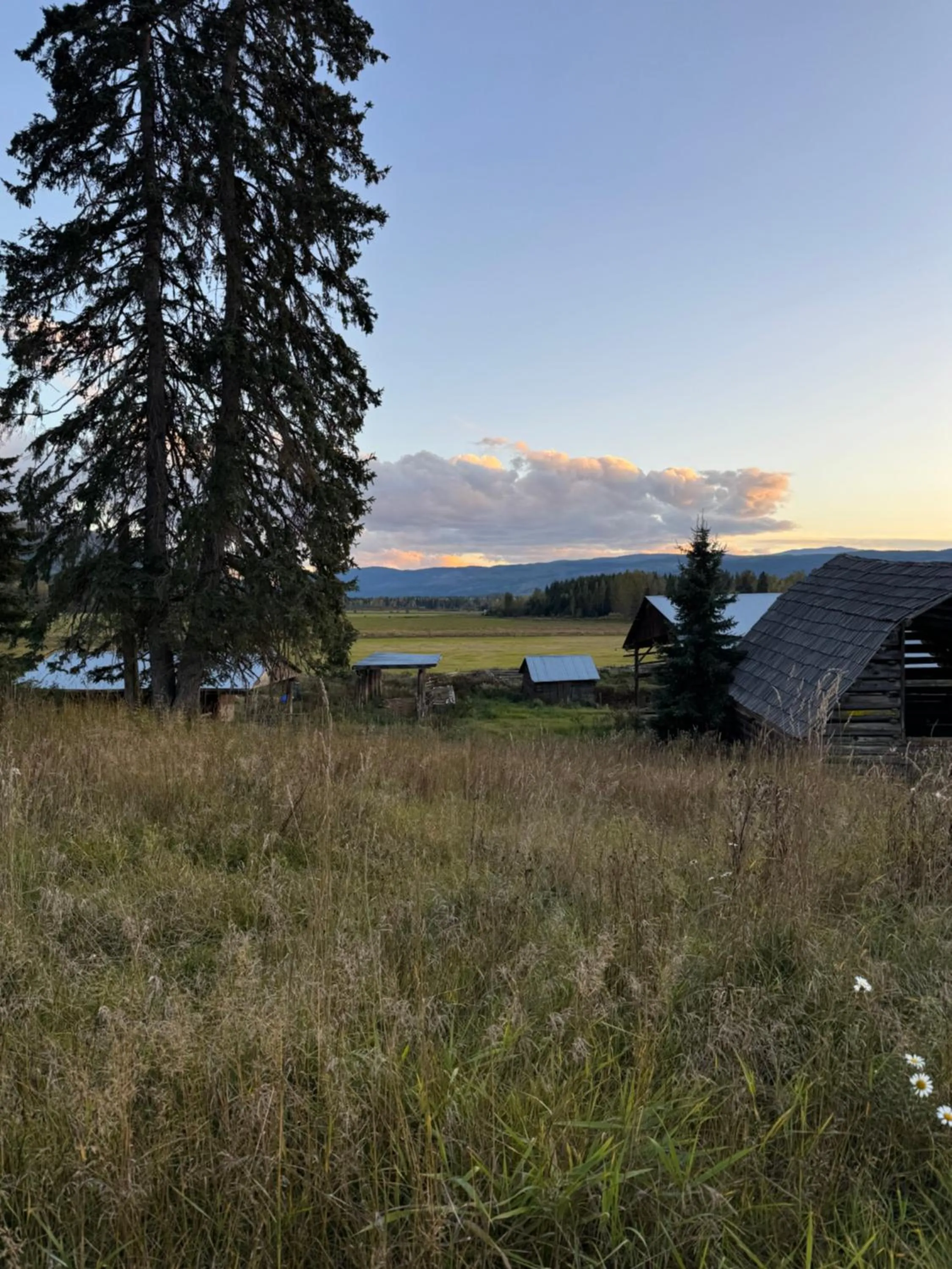 View (from property/room) in Nakiska Bear Ranch